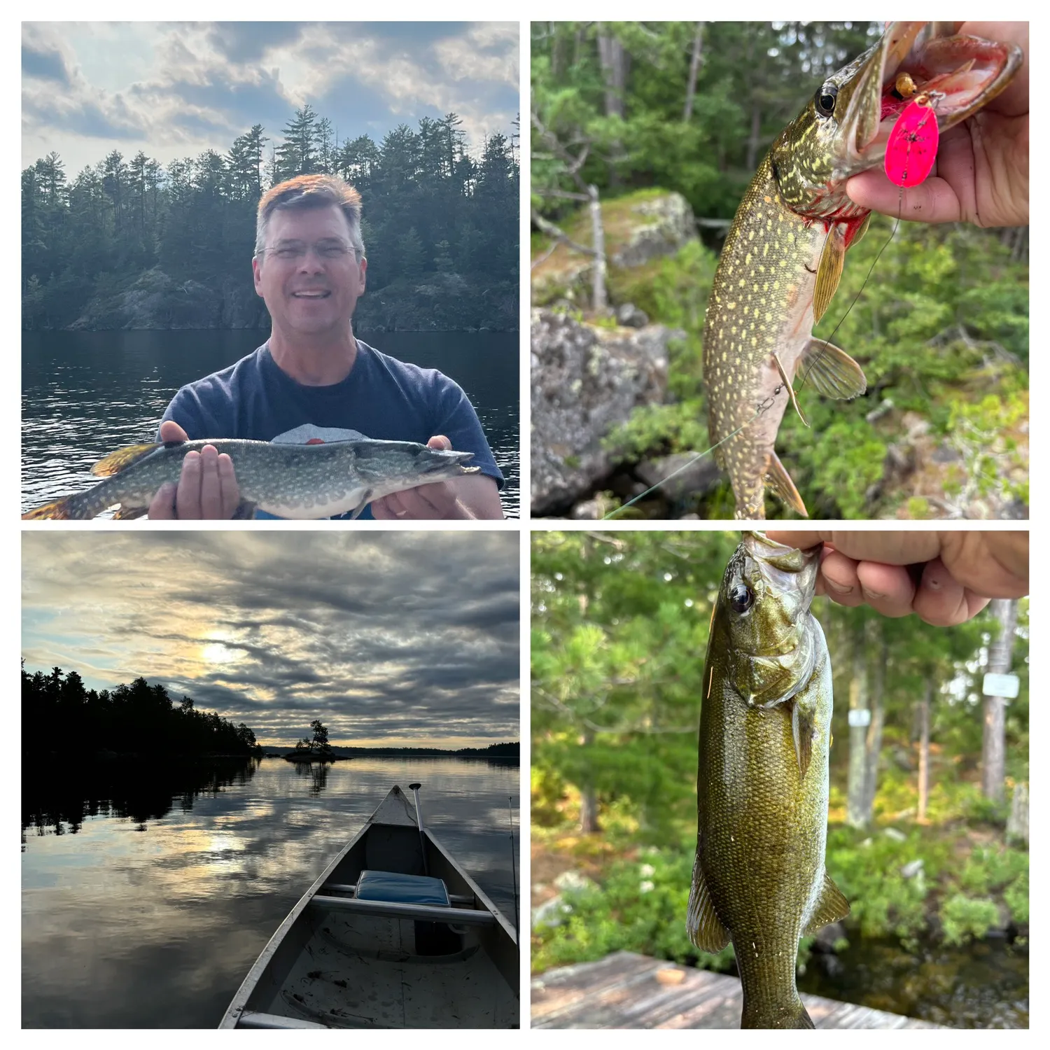 recently logged catches