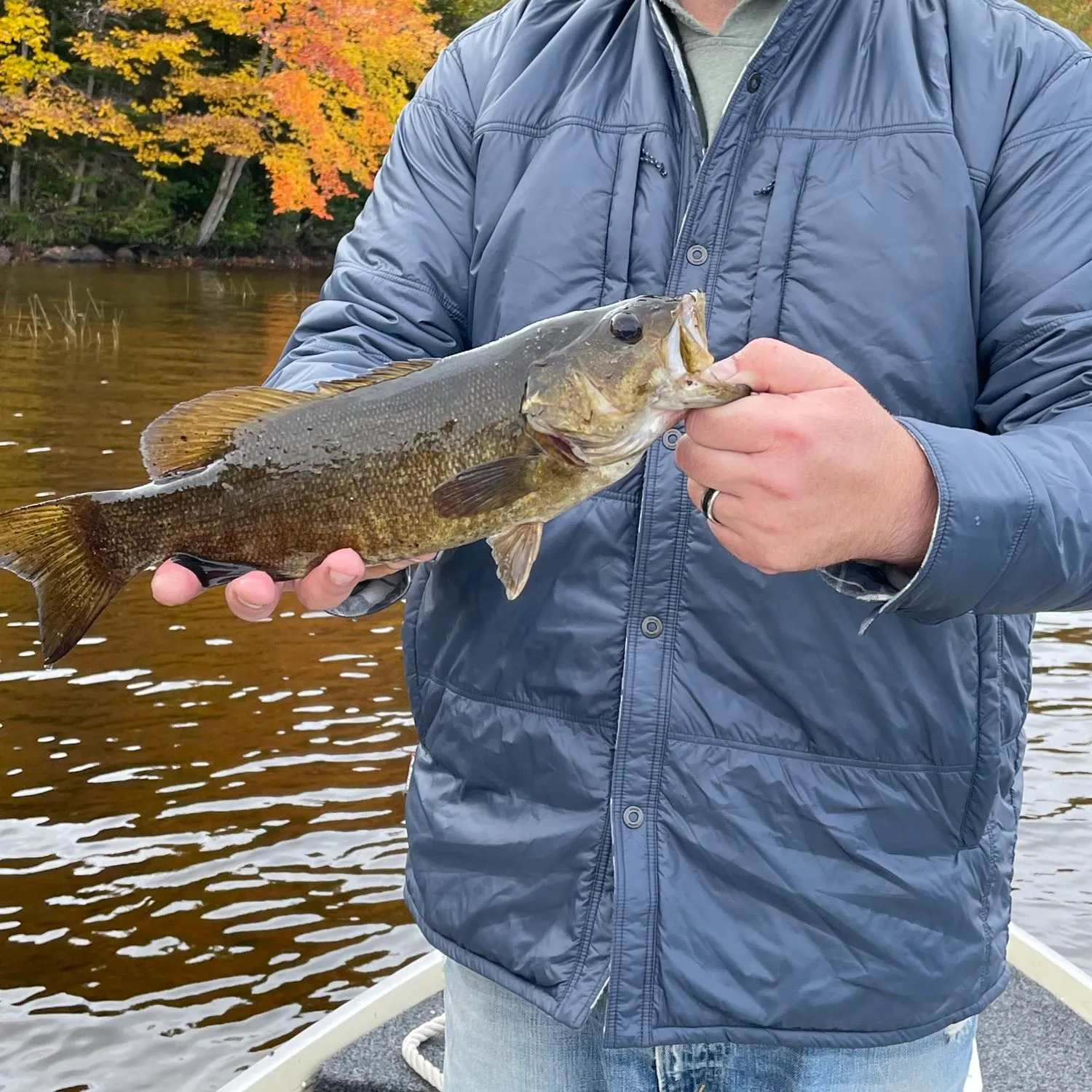 ᐅ Union Falls Pond fishing reports🎣• Malone, NY (United States) fishing