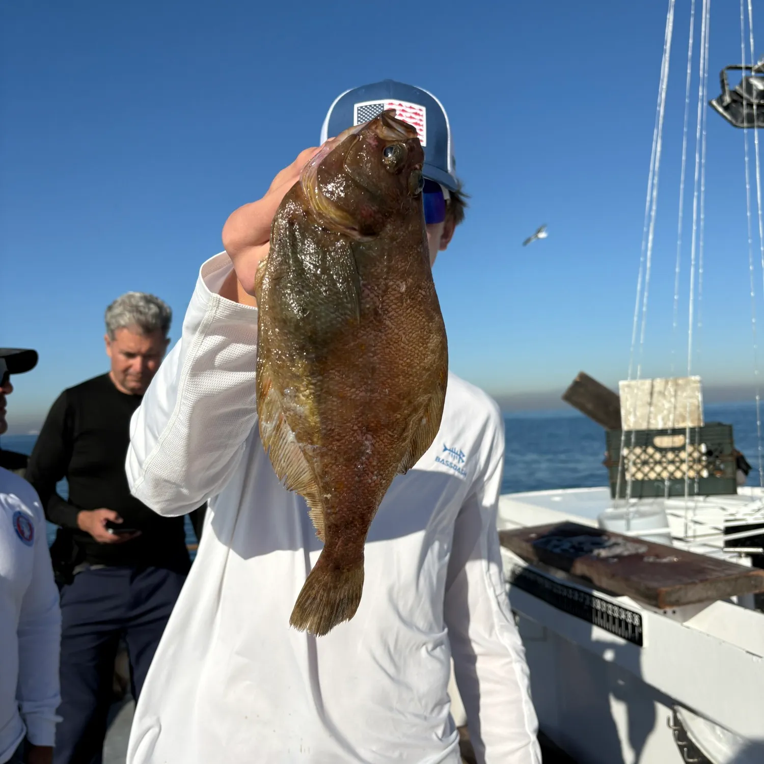 The most popular recent Pacific sanddab catch on Fishbrain