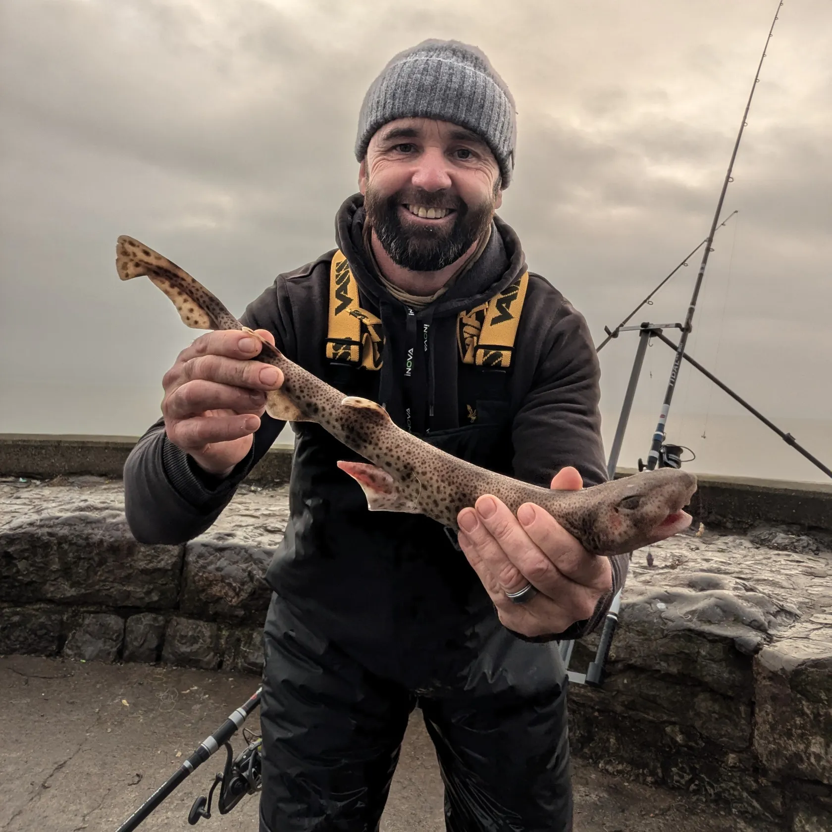 The most popular recent Lesser spotted dogfish catch on Fishbrain