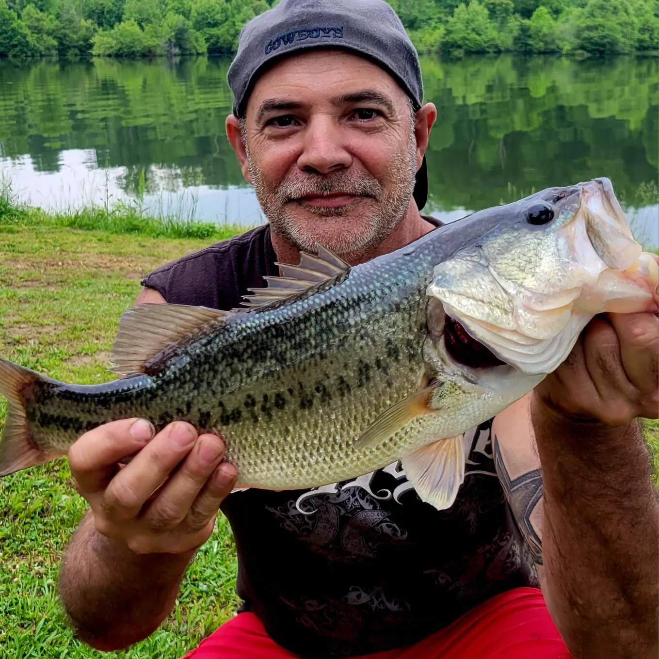 ᐅ Laurel Hill Lake fishing reports🎣• Lawrenceburg, TN (United States ...