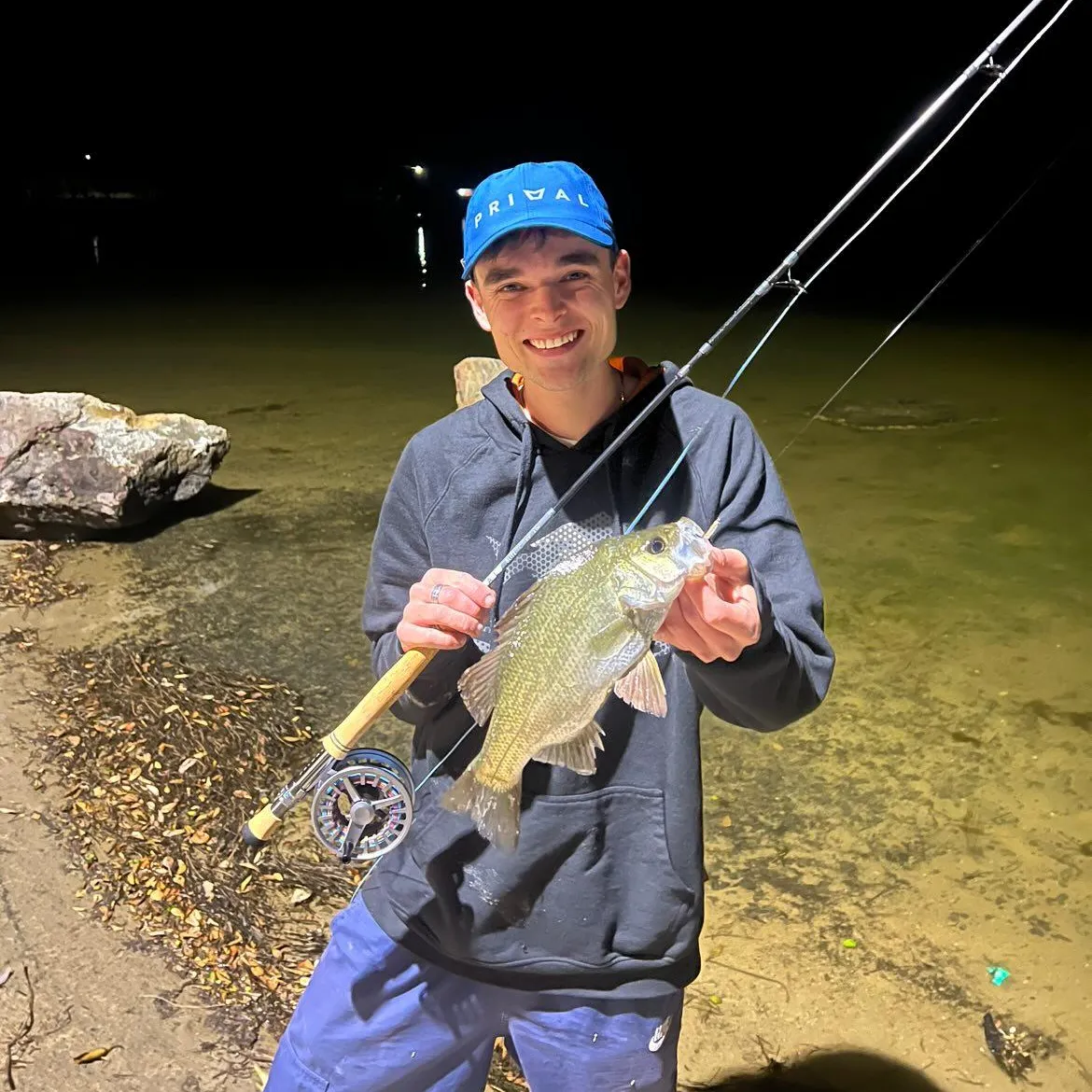 The most popular recent Estuary perch catch on Fishbrain