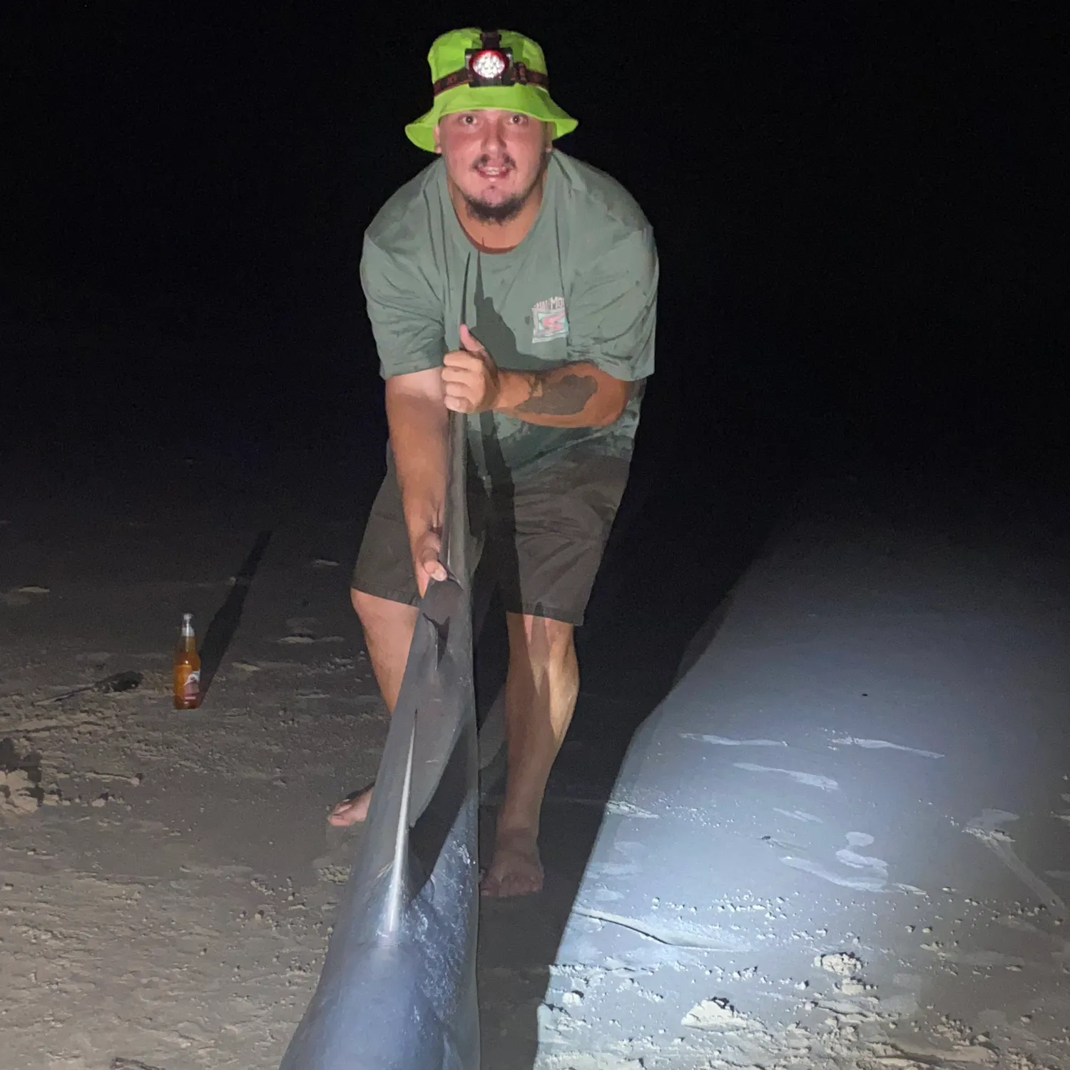 The most popular recent Copper shark catch on Fishbrain