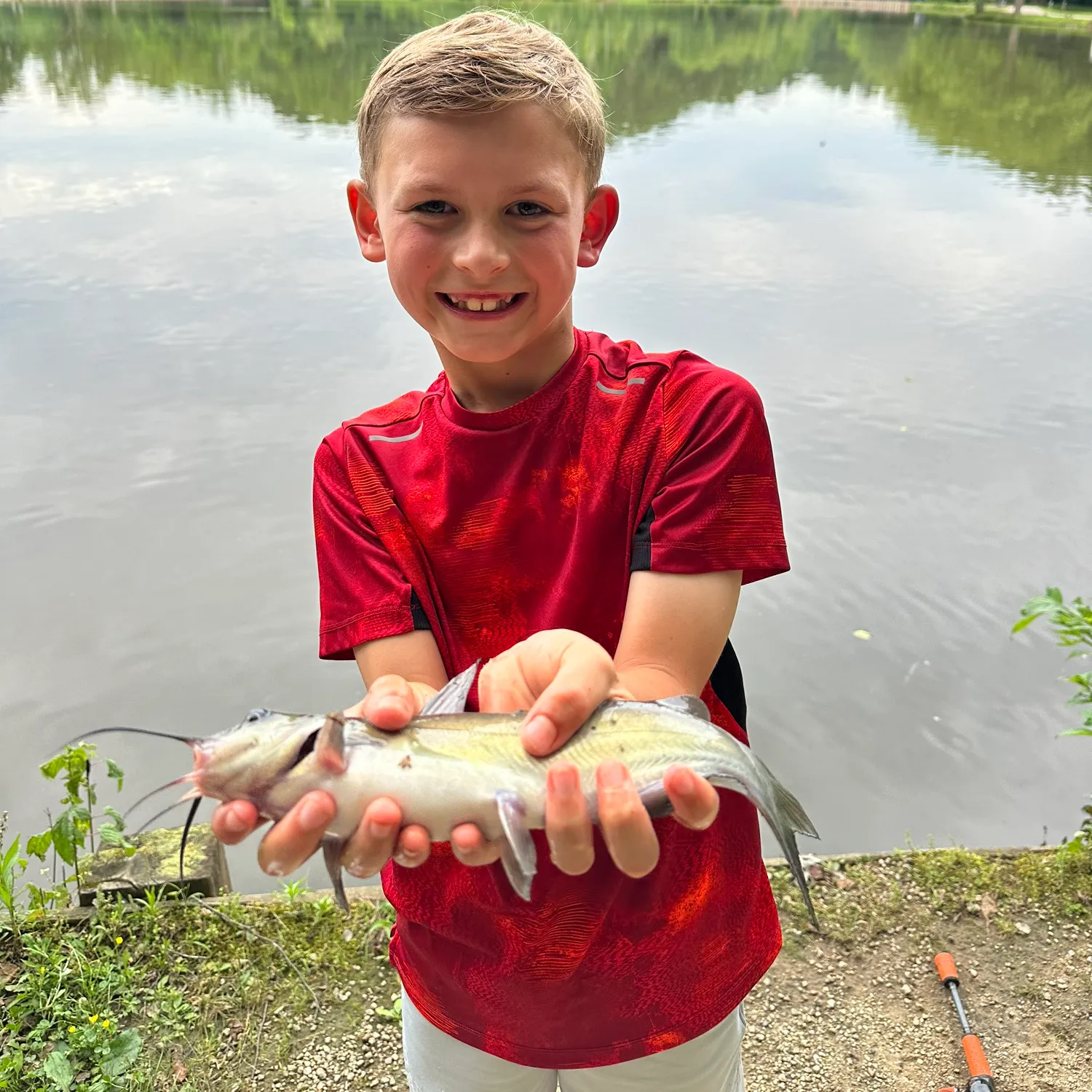 ᐅ Mcalpine Creek Park Pond Fishing Reports🎣• Mint Hill, Nc (united 