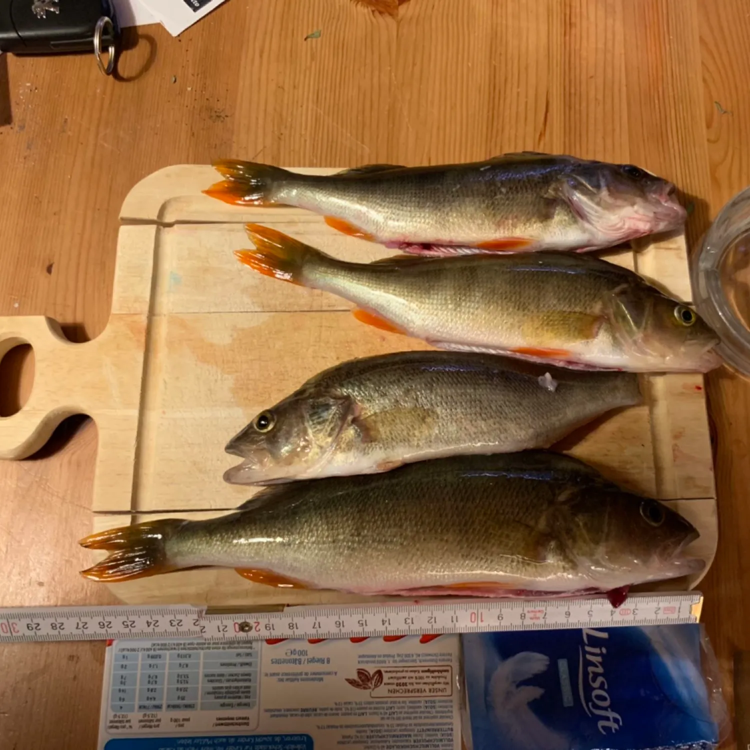 recently logged catches