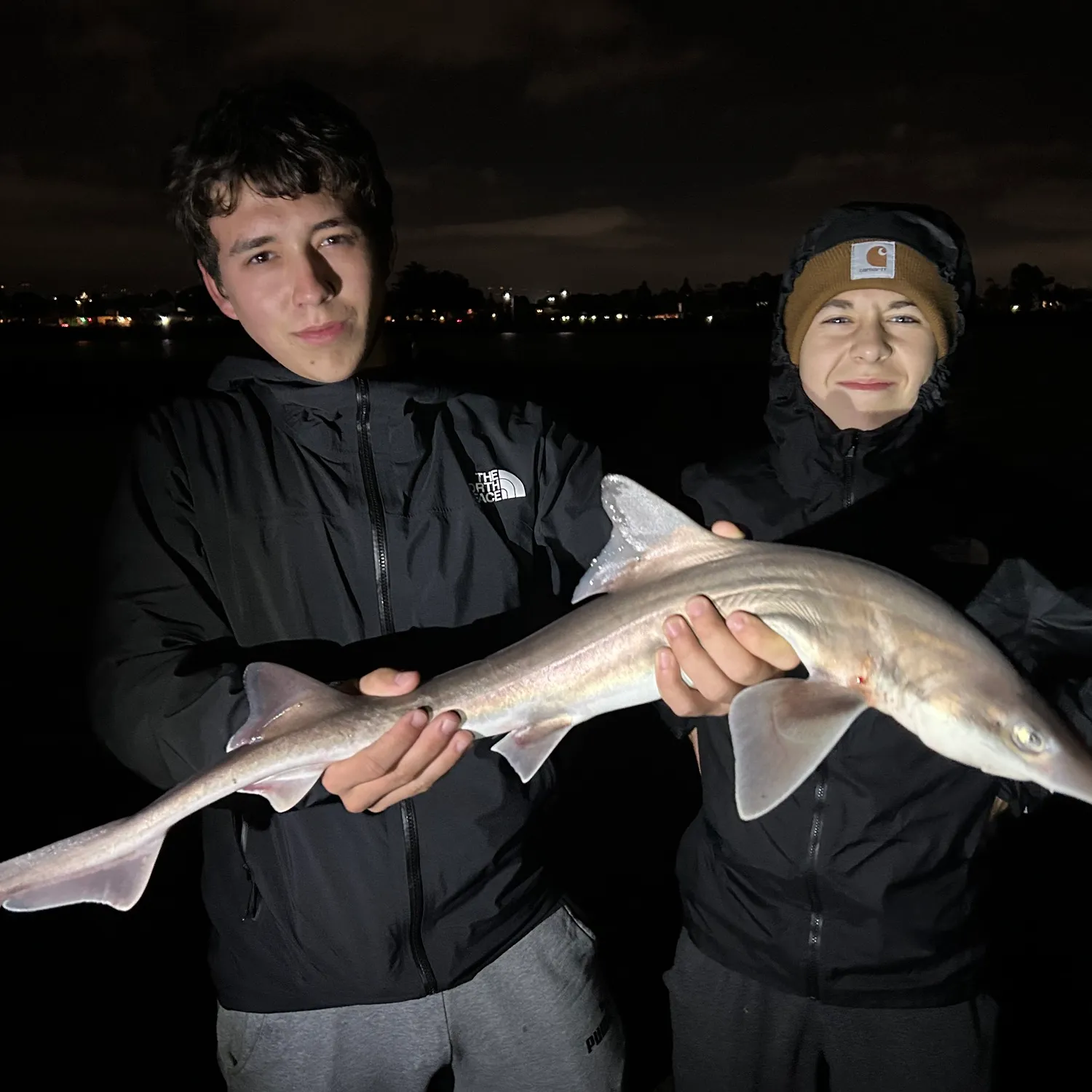 The most popular recent Brown smooth-hound catch on Fishbrain