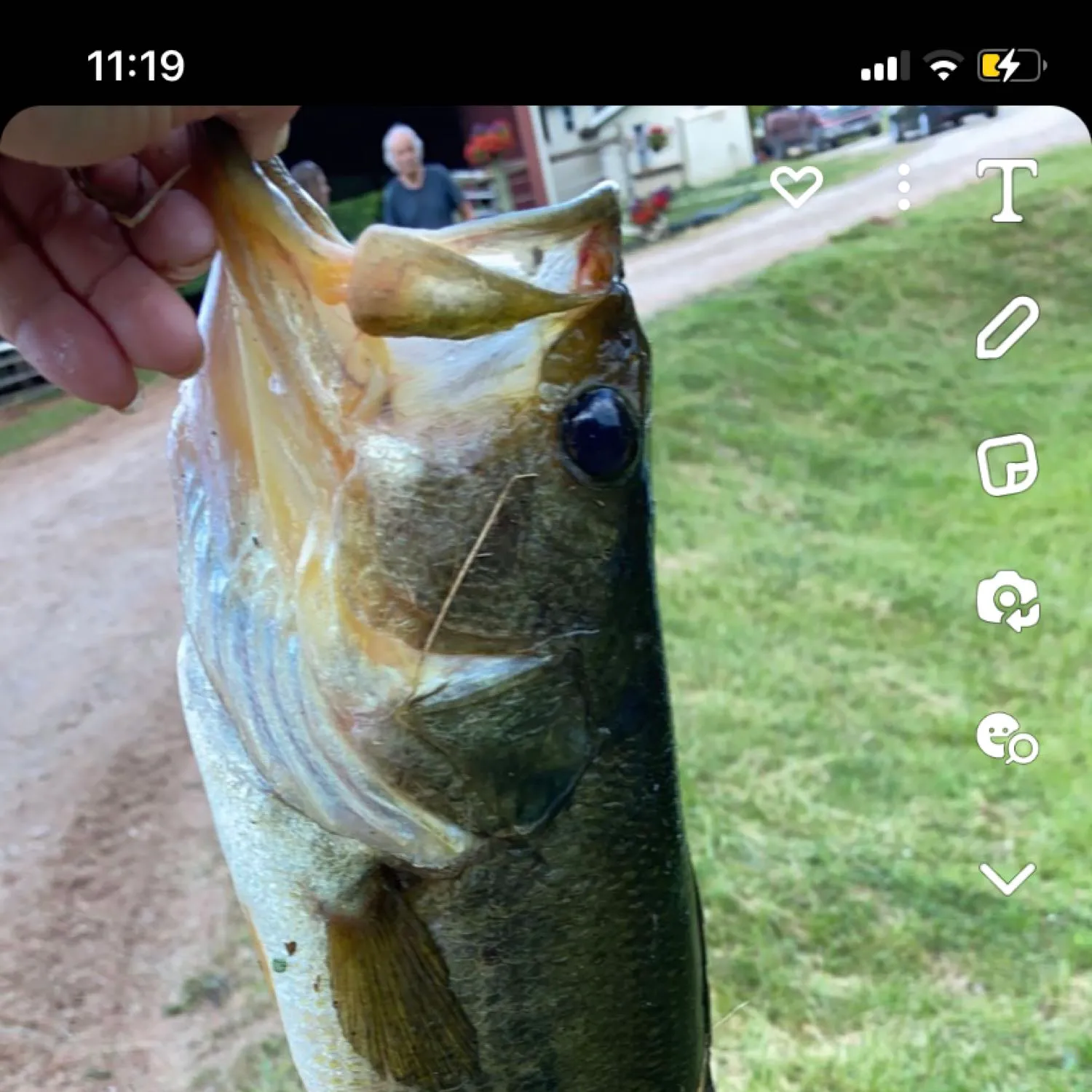 recently logged catches