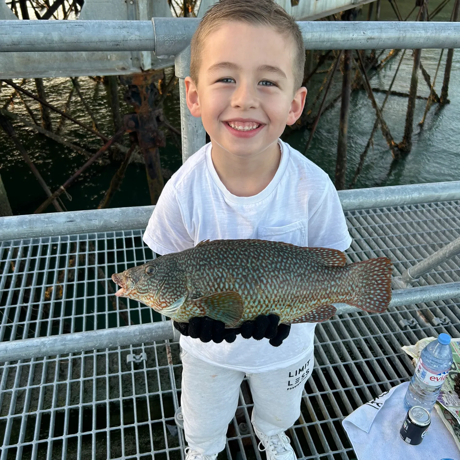 The most popular recent Ballan wrasse catch on Fishbrain