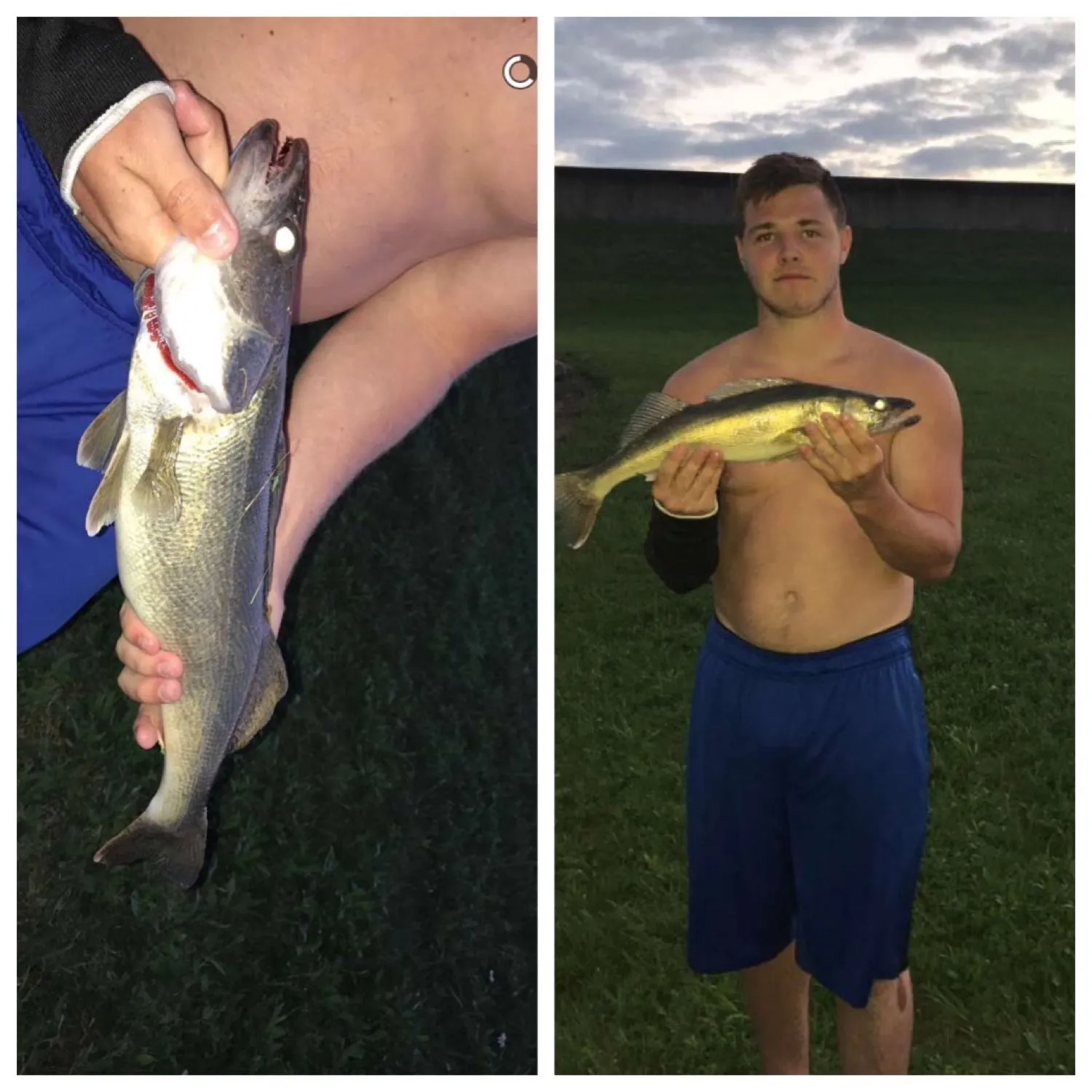 recently logged catches