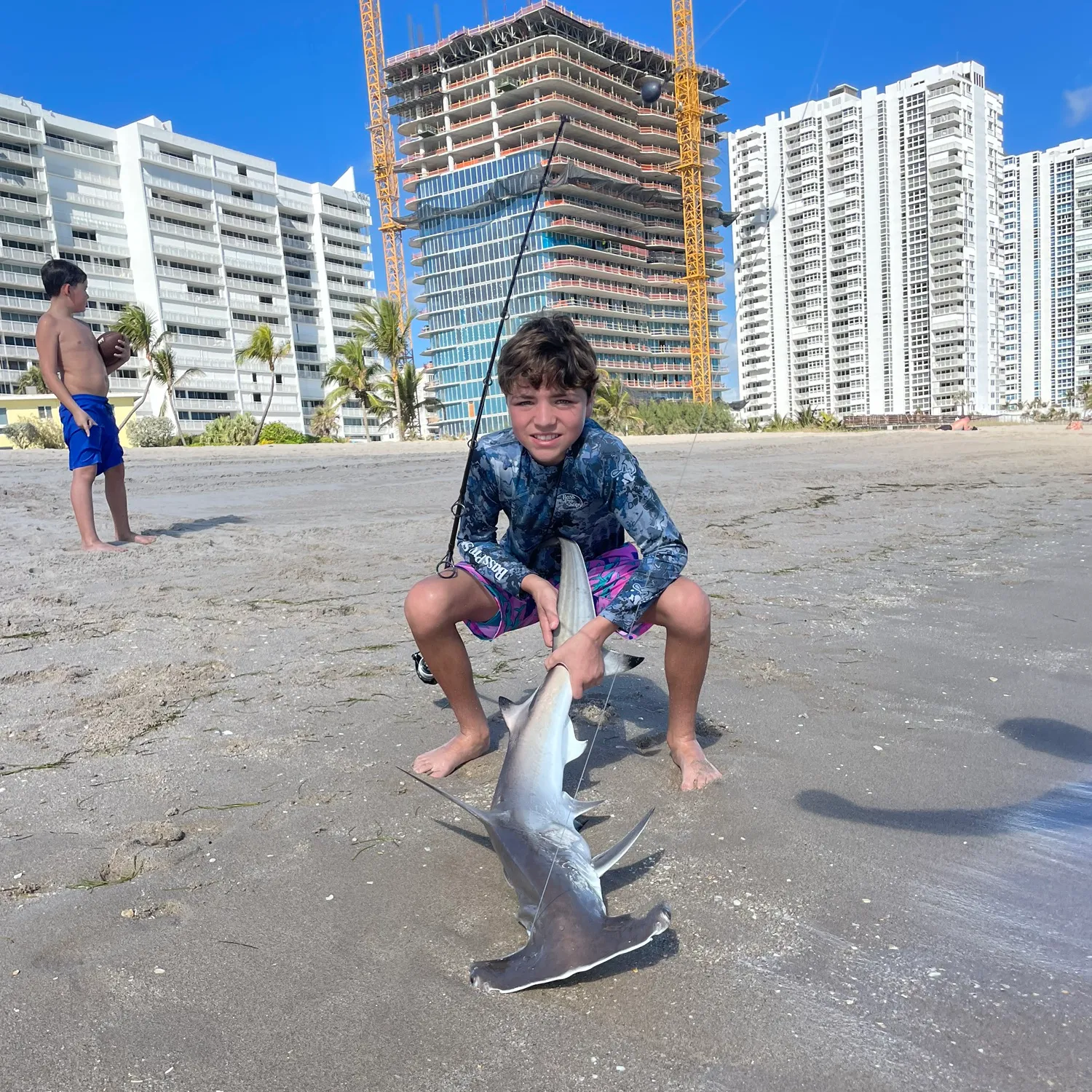 The most popular recent Scalloped hammerhead shark catch on Fishbrain