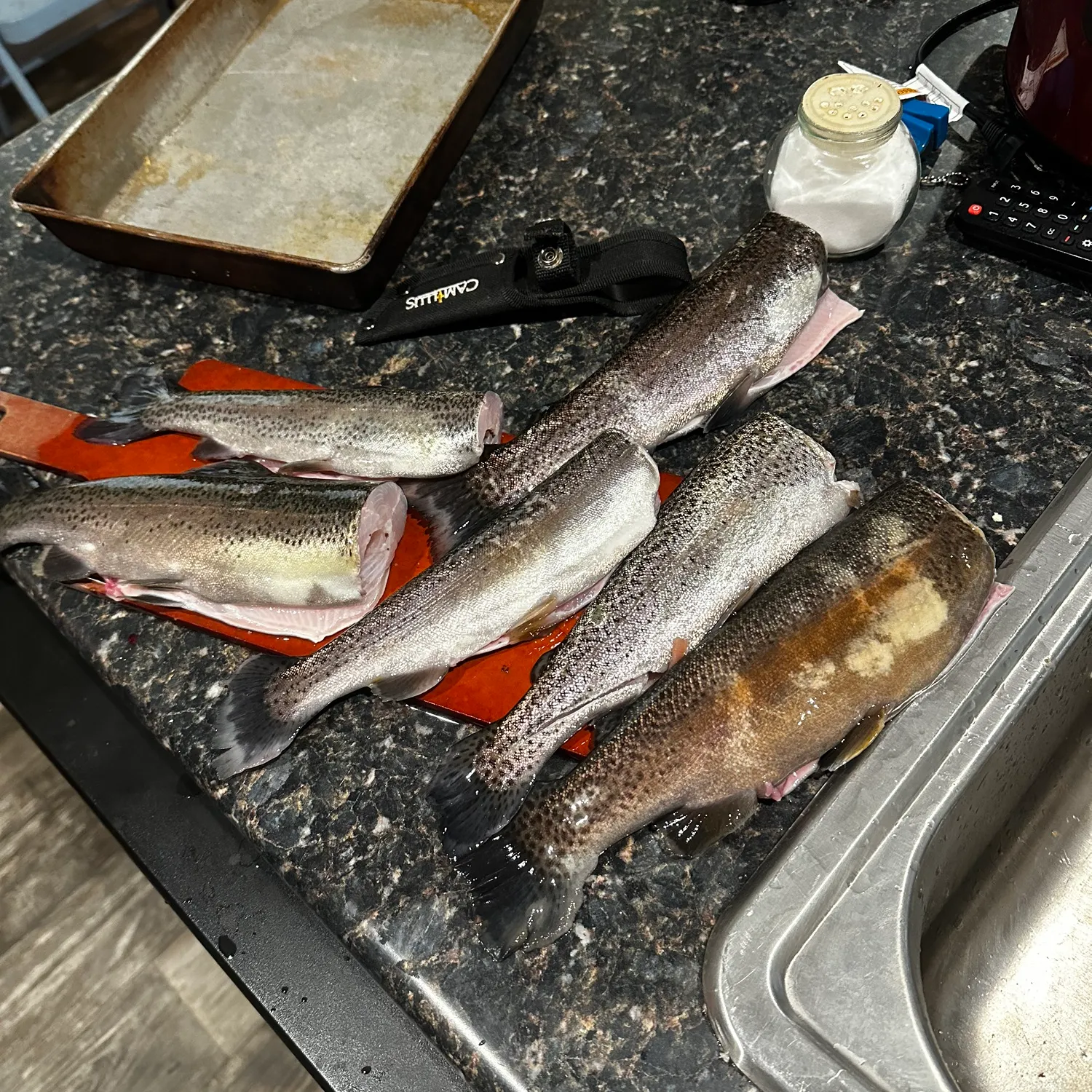 recently logged catches