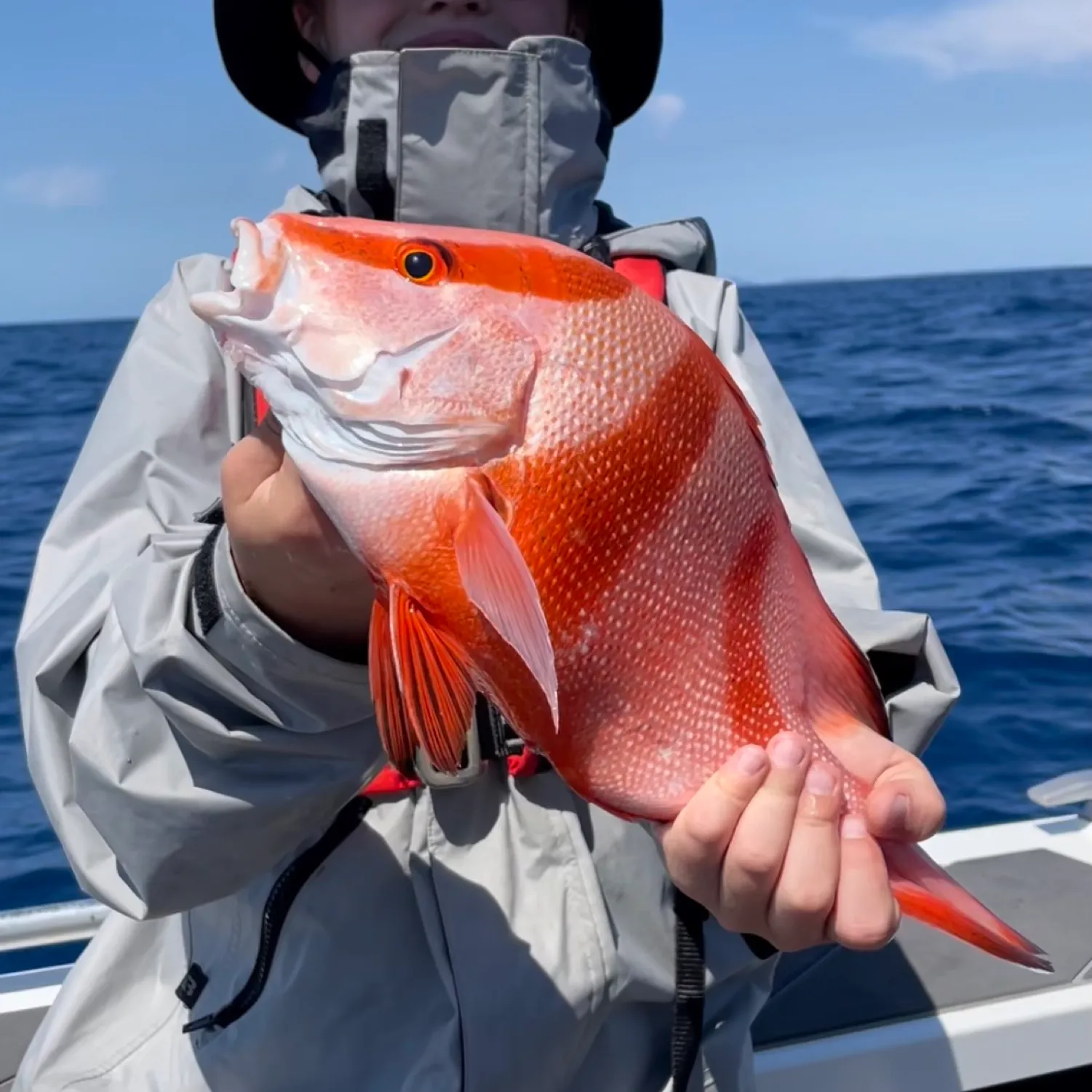 The most popular recent Emperor red snapper catch on Fishbrain