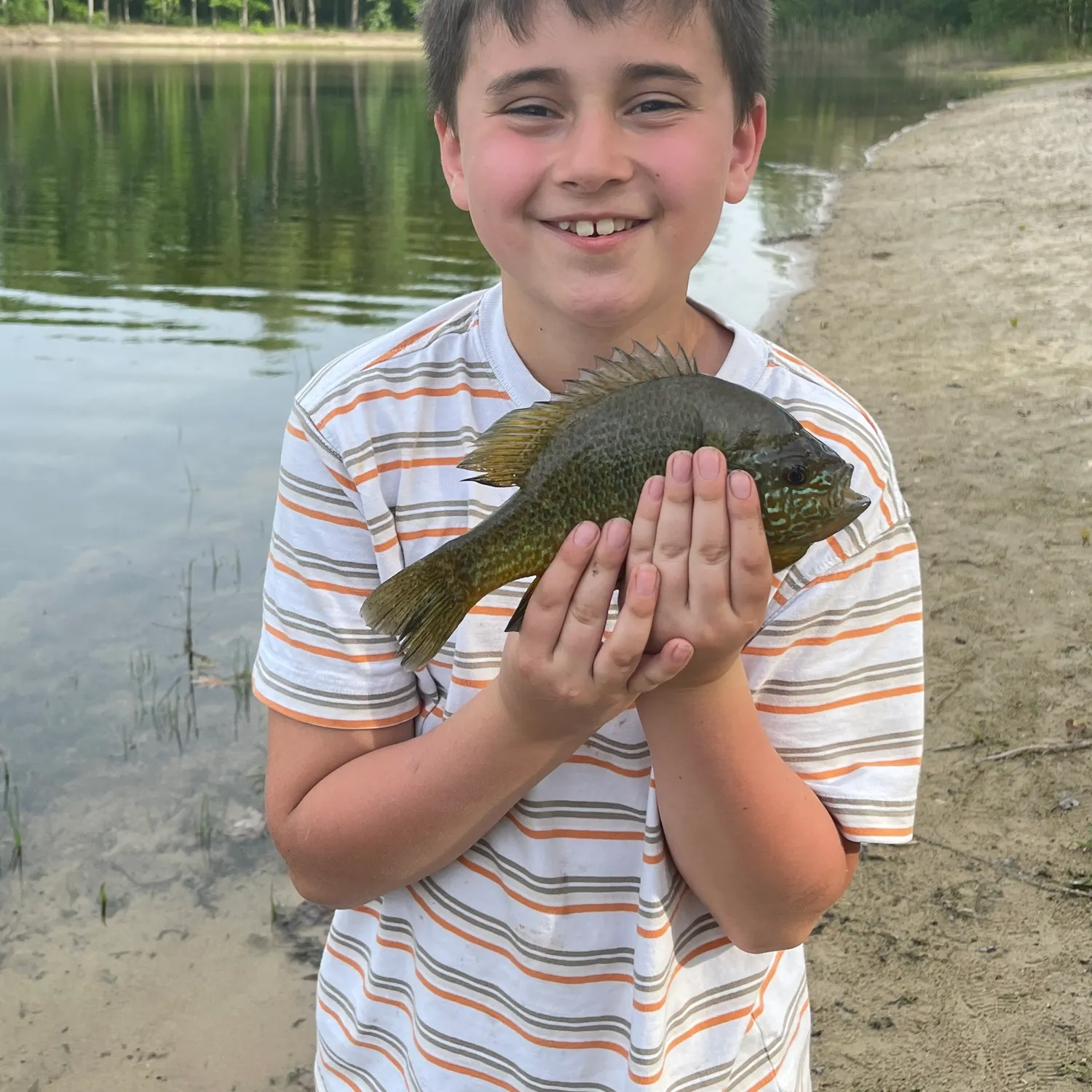 The most popular recent Pumpkinseed catch on Fishbrain