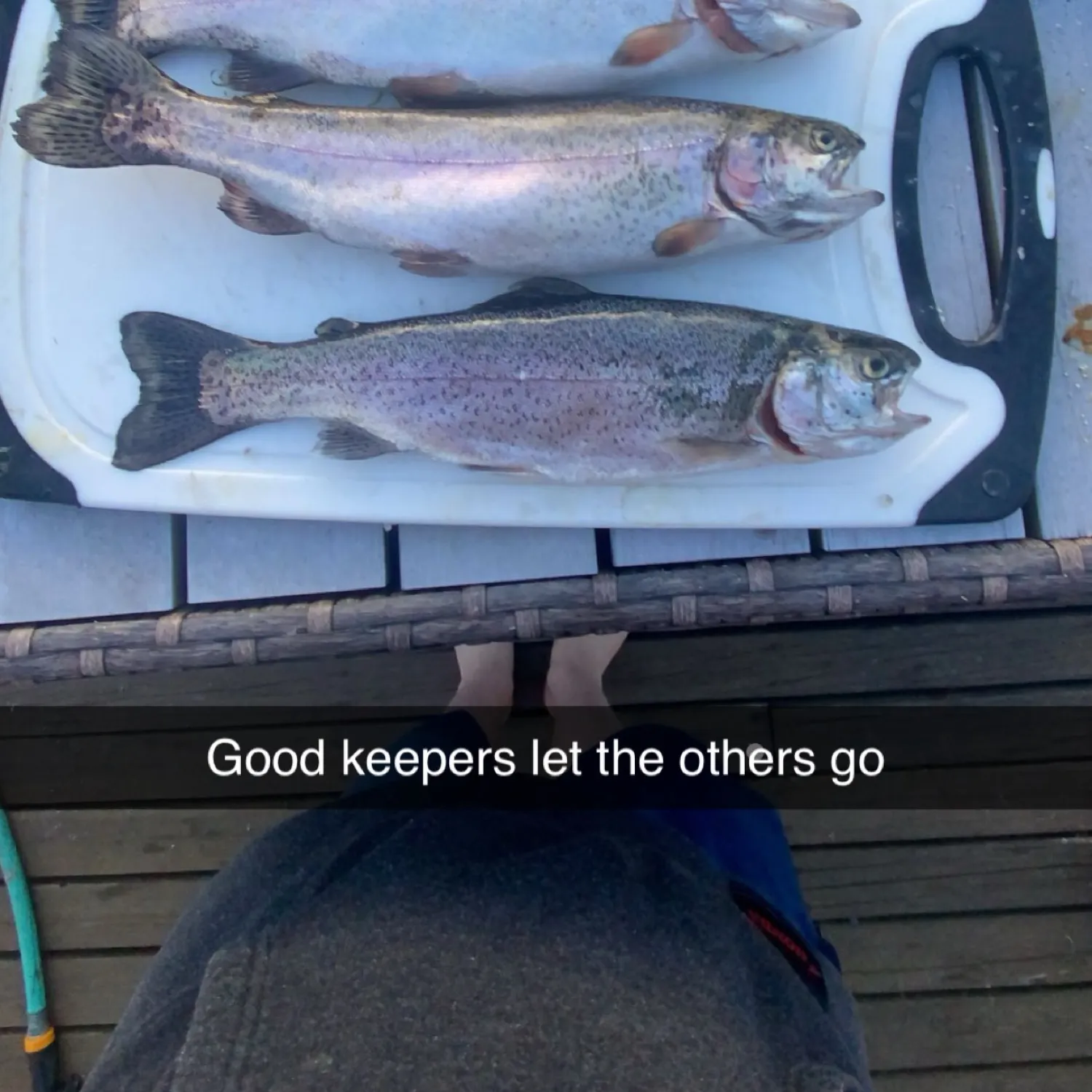 recently logged catches