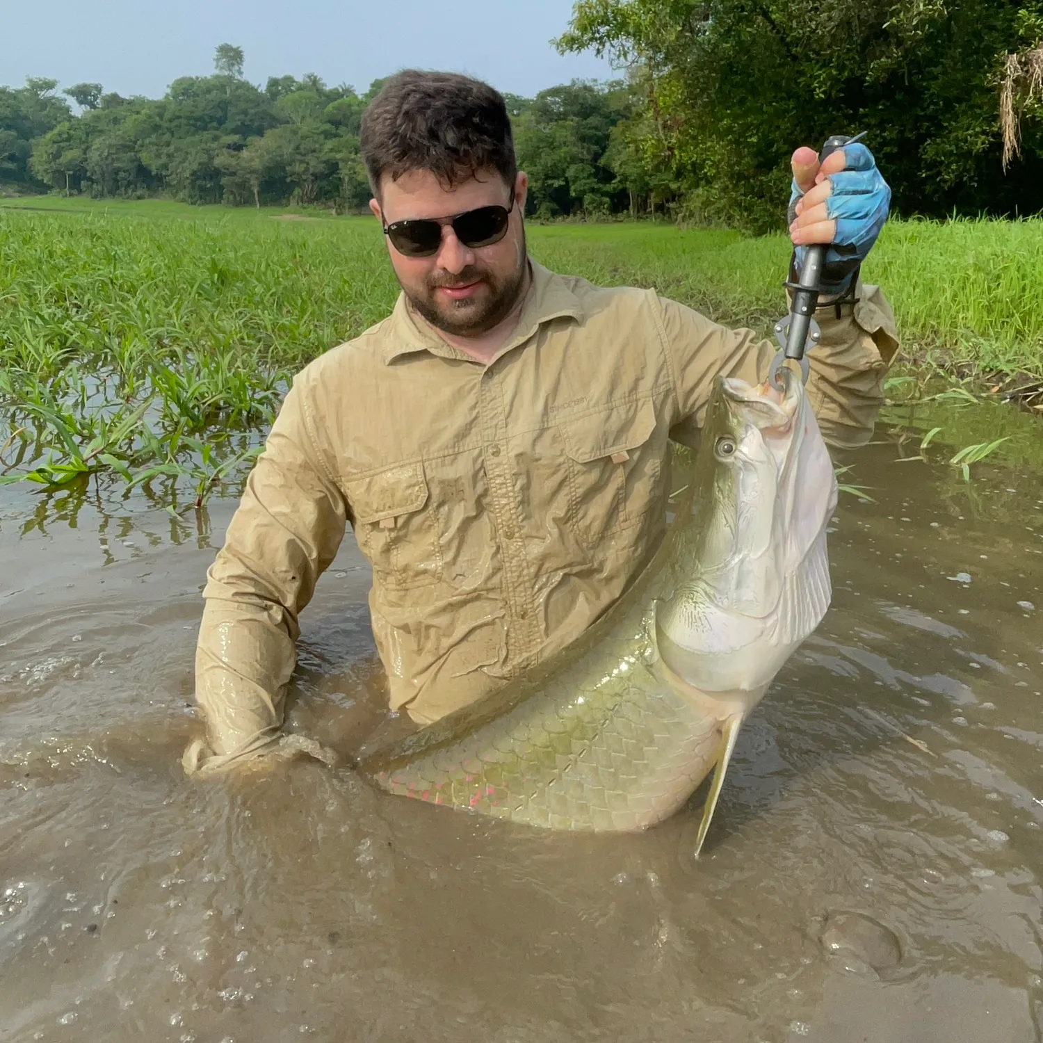 The most popular recent Arapaima catch on Fishbrain