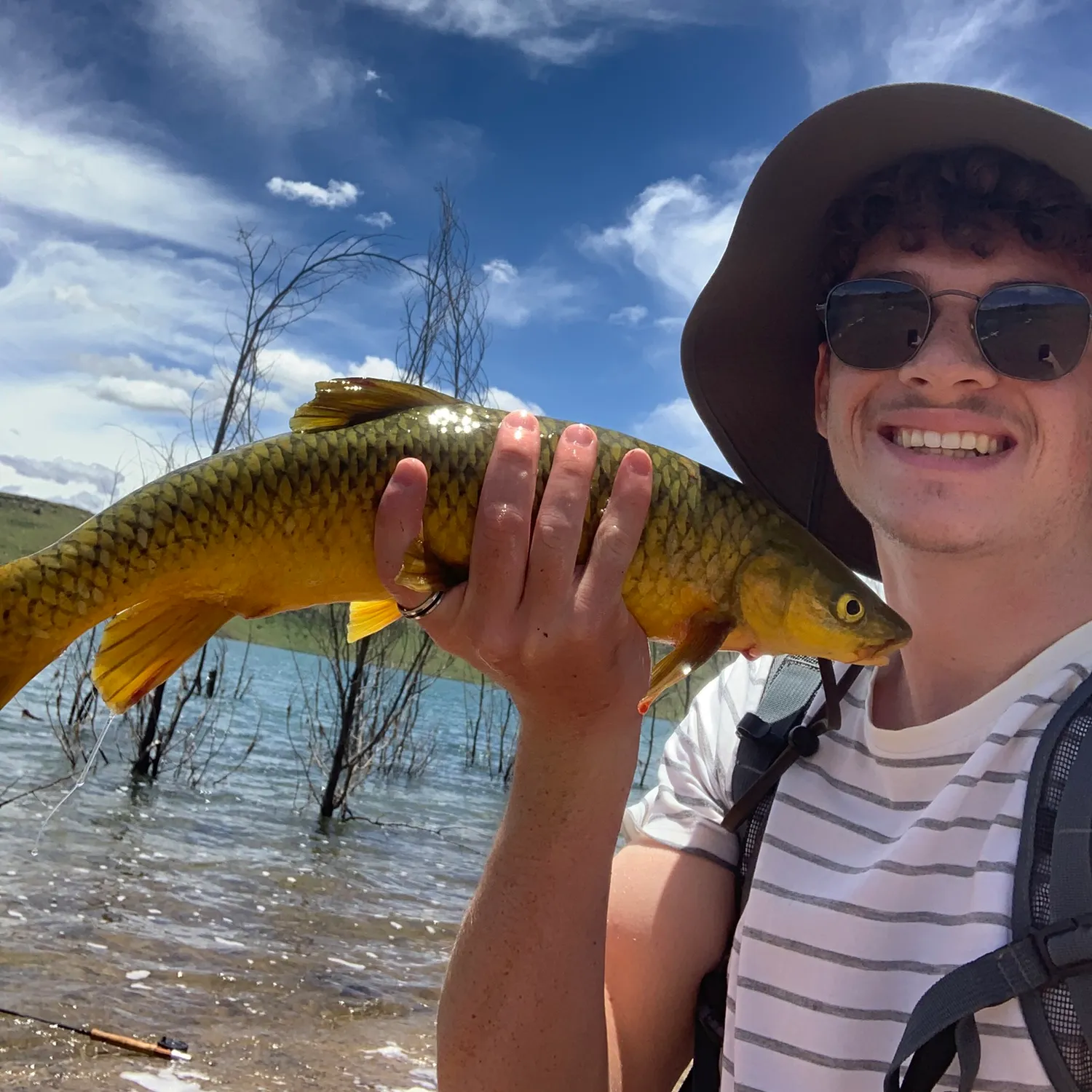 The most popular recent Smallmouth yellowfish catch on Fishbrain