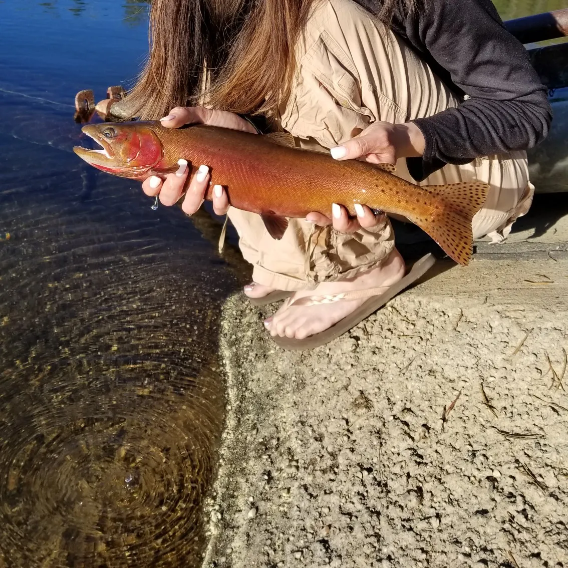 recently logged catches