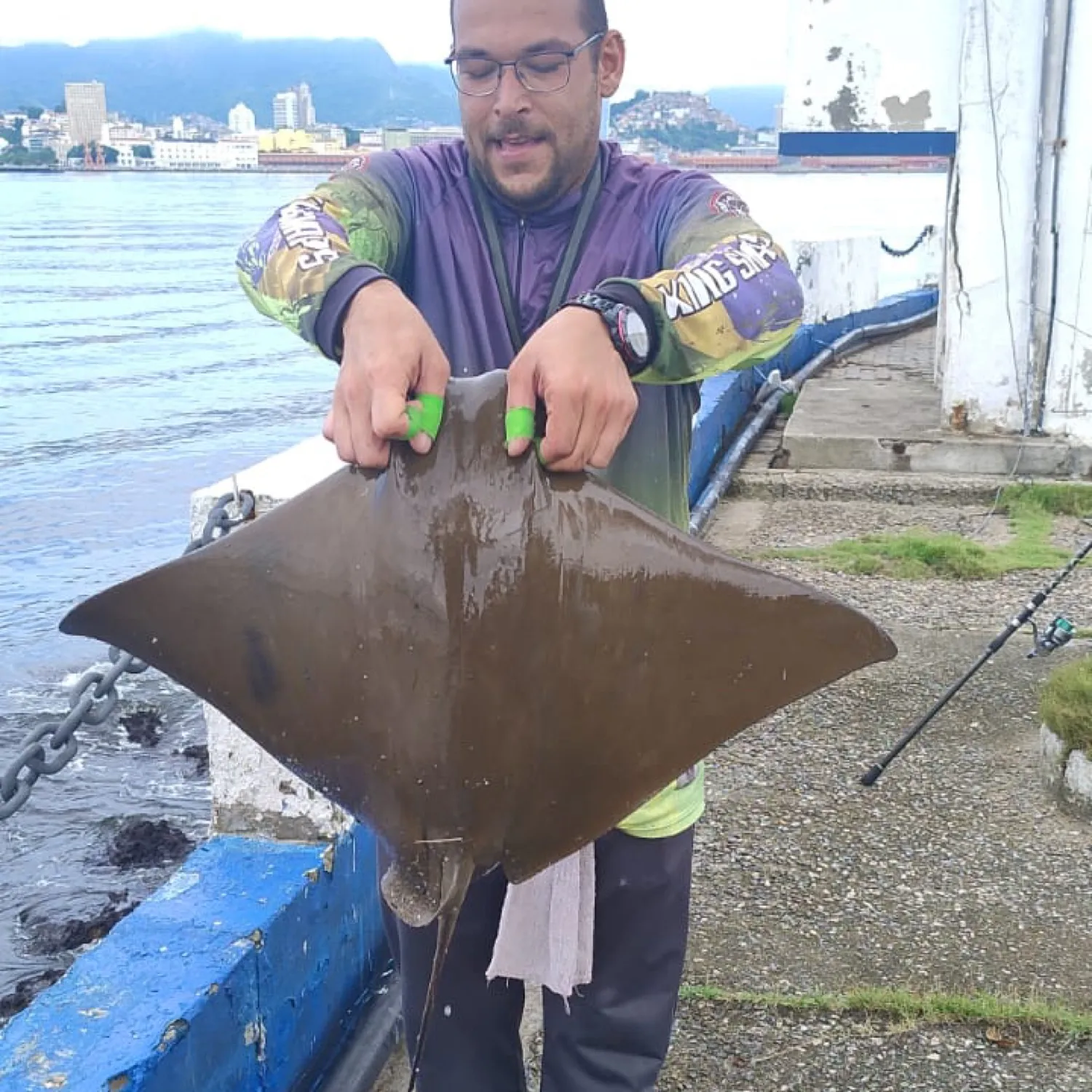 The most popular recent Common eagle ray catch on Fishbrain