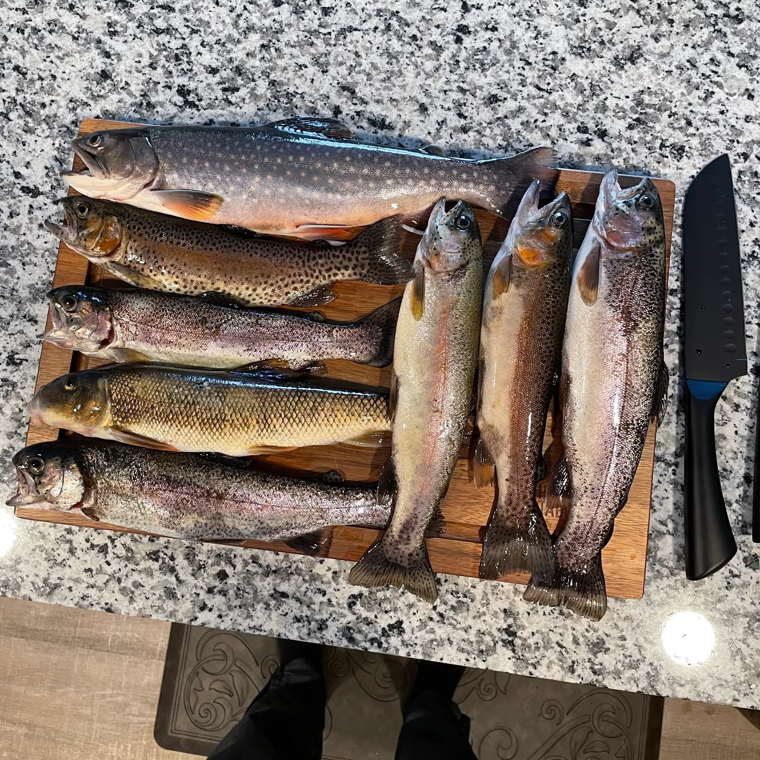 recently logged catches