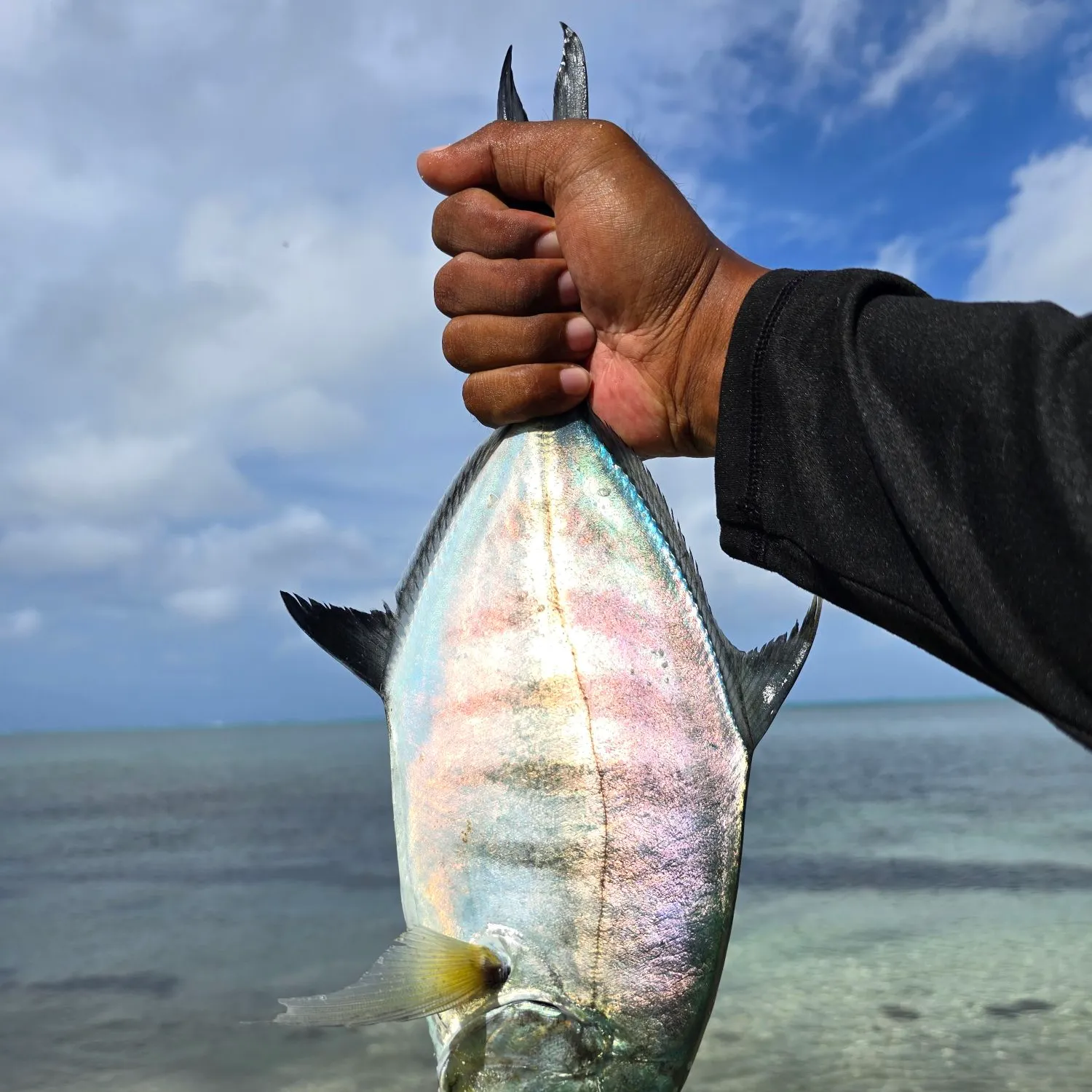 The most popular recent Skipjack trevally catch on Fishbrain