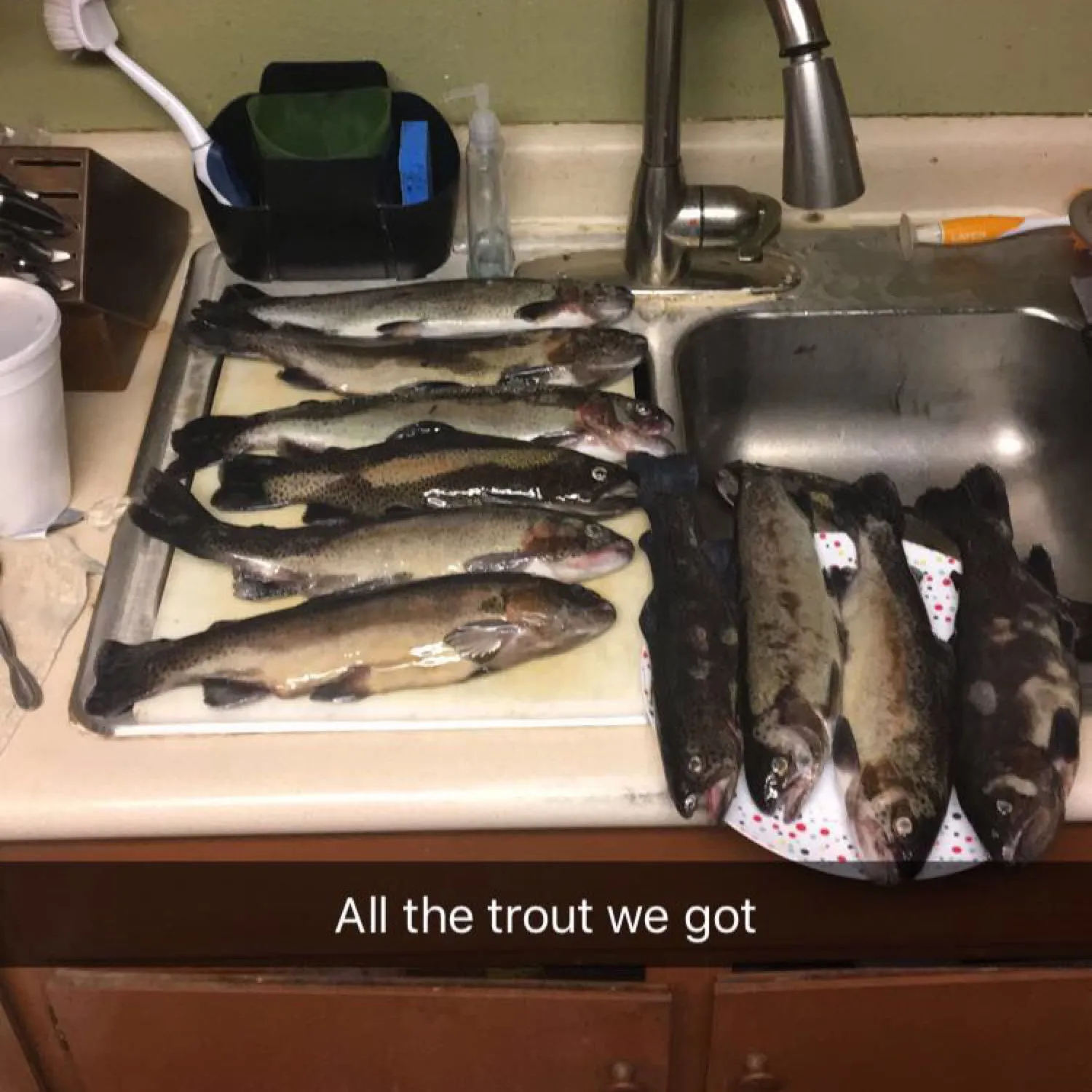 recently logged catches