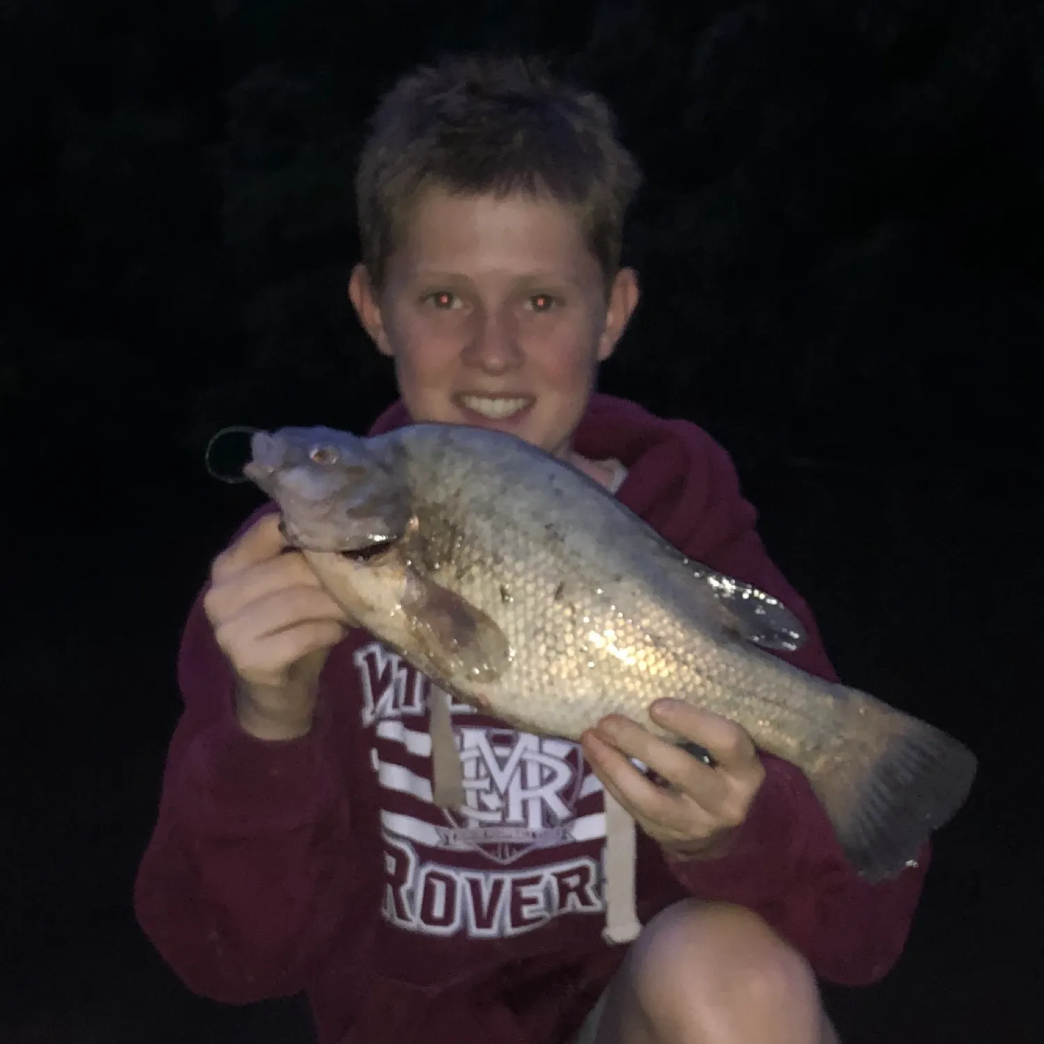 The most popular recent Macquarie perch catch on Fishbrain