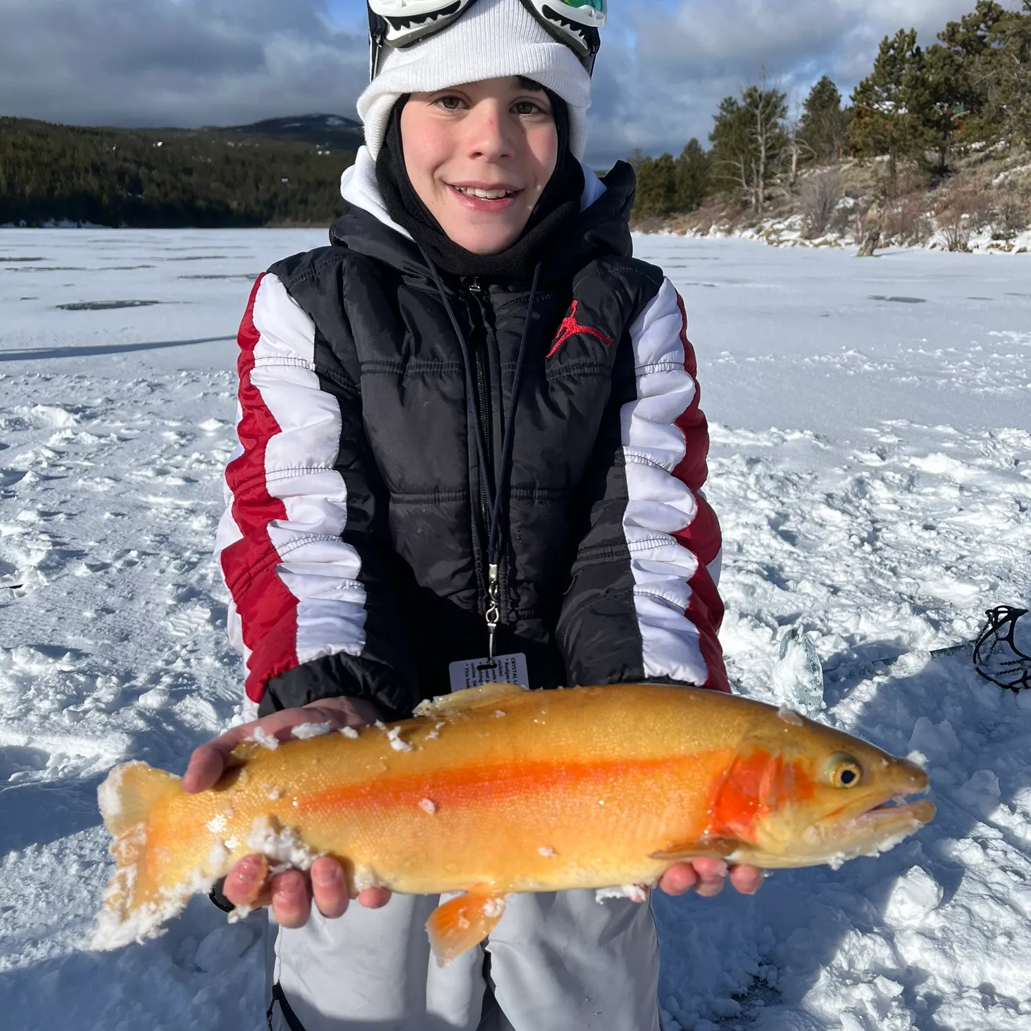 The most popular recent Golden trout catch on Fishbrain