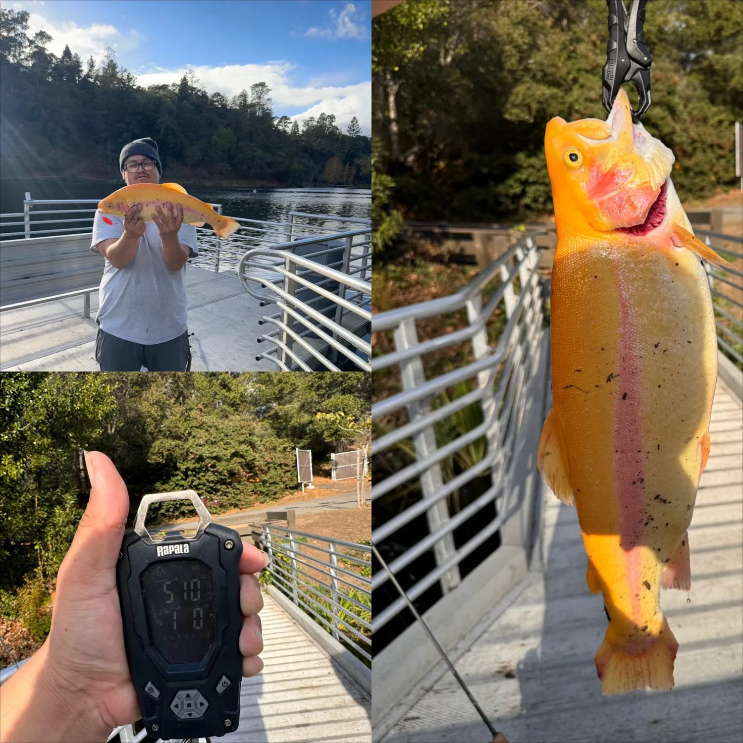 recently logged catches