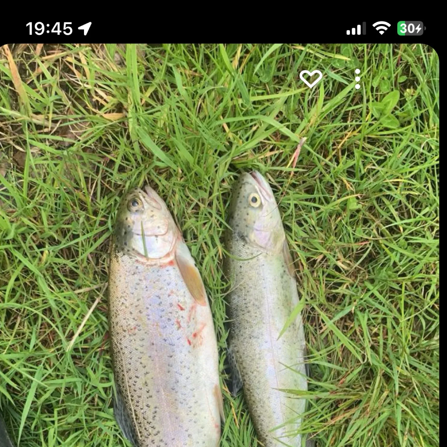 recently logged catches