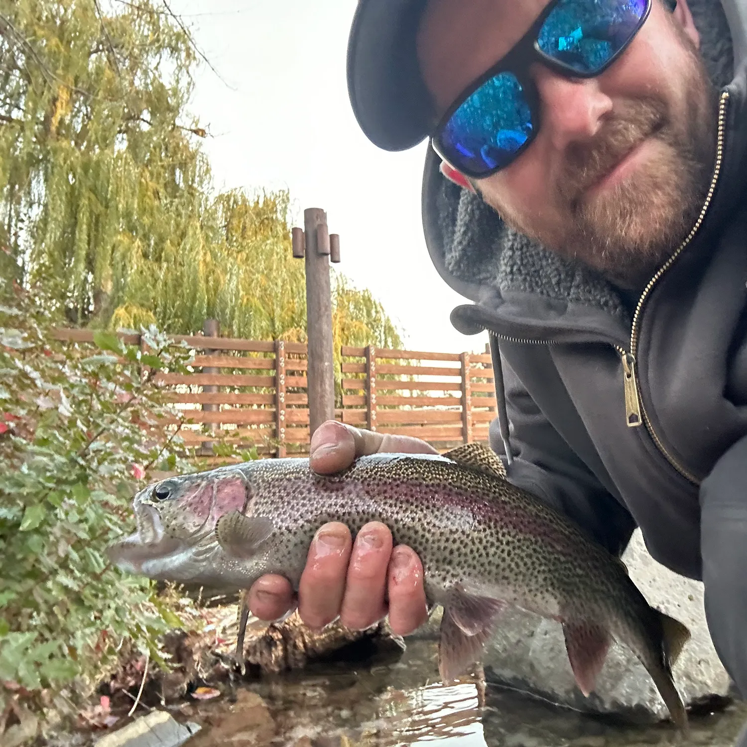 The most popular recent Great basin redband trout catch on Fishbrain