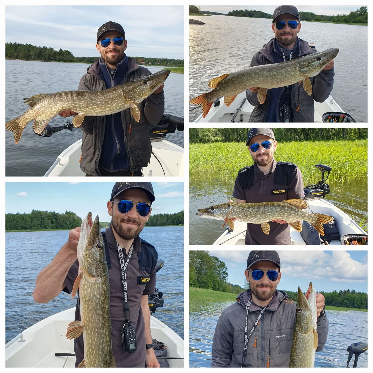 recently logged catches