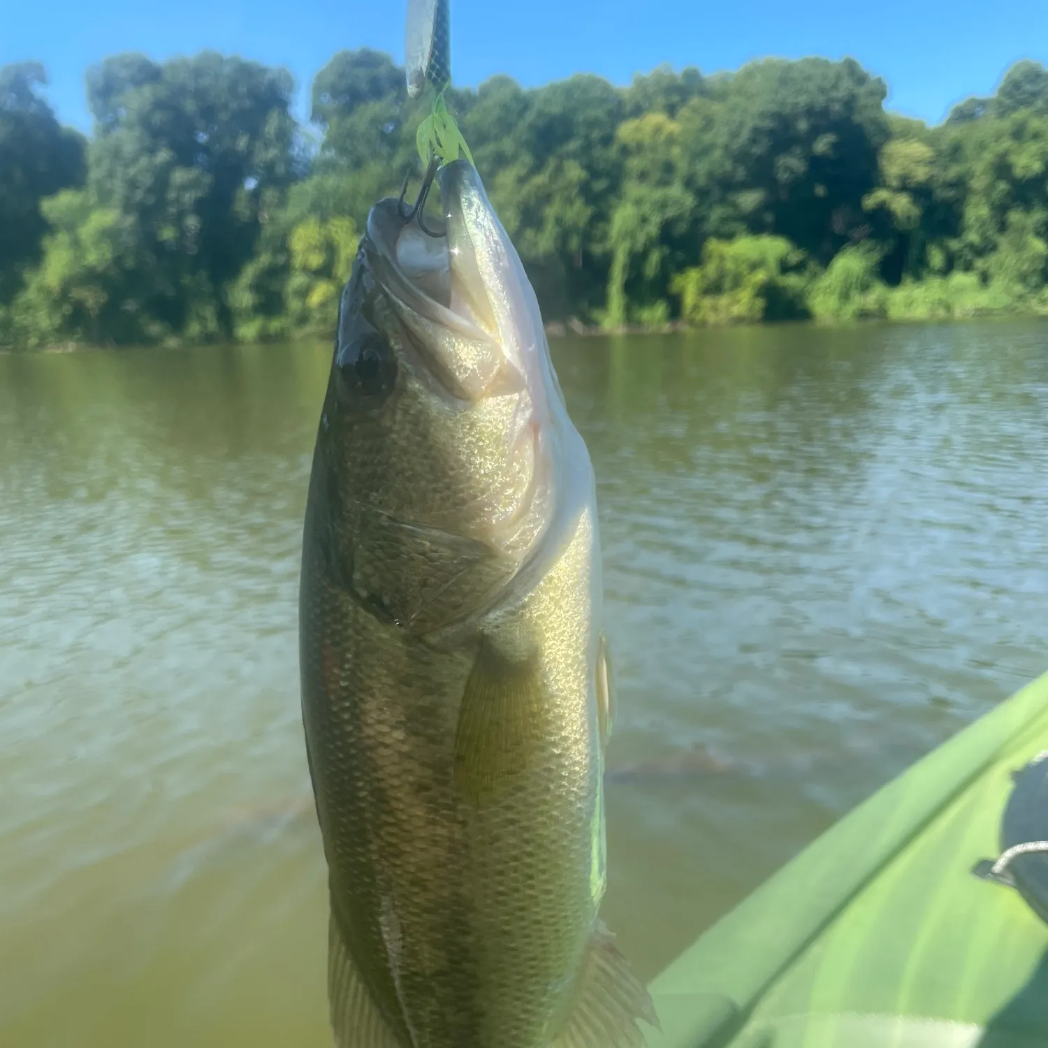 ᐅ Lake Elmdale Fishing Reports🎣• Springdale, Ar (united States) Fishing