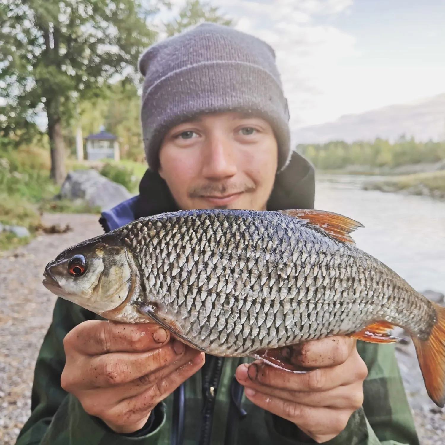 The most popular recent Common roach catch on Fishbrain