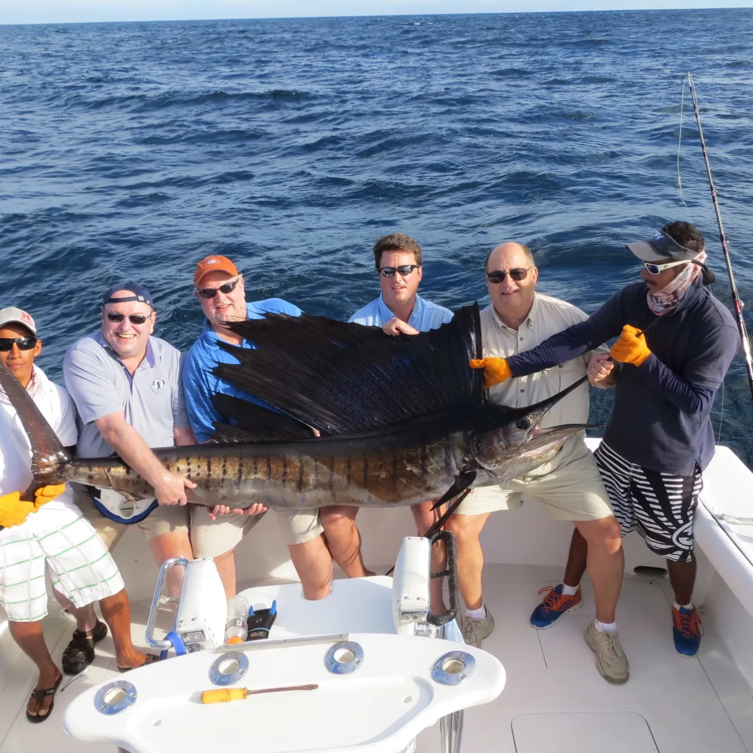 The most popular recent Atlantic sailfish catch on Fishbrain