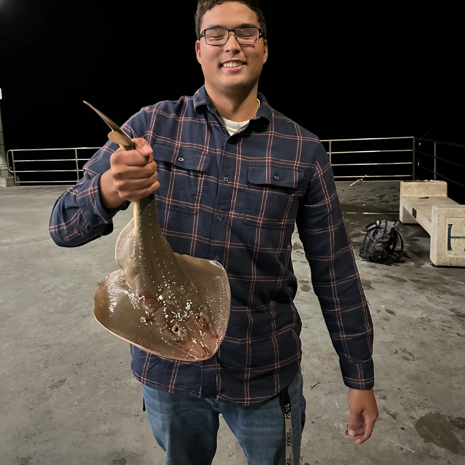 The most popular recent Thornback guitarfish catch on Fishbrain