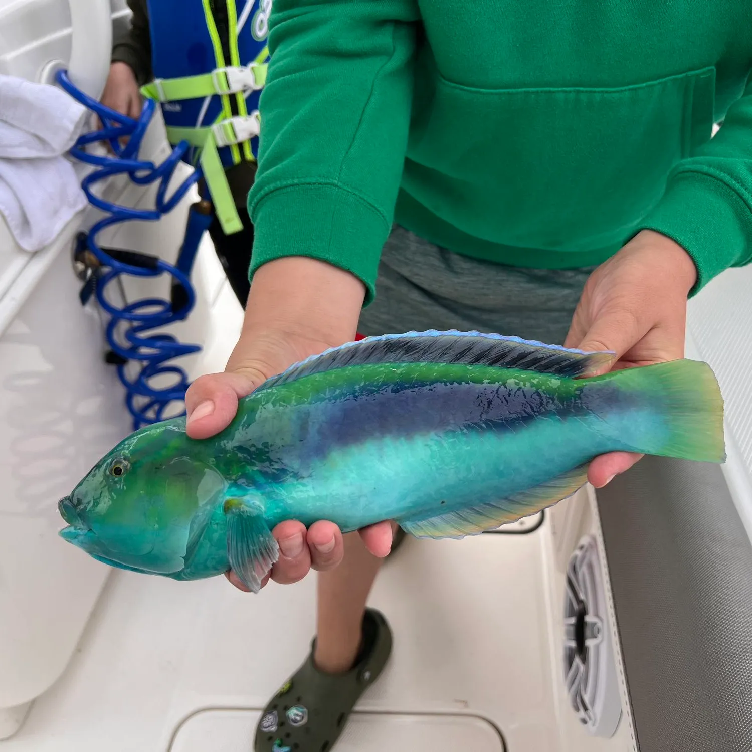 The most popular recent Yellowcheek wrasse catch on Fishbrain