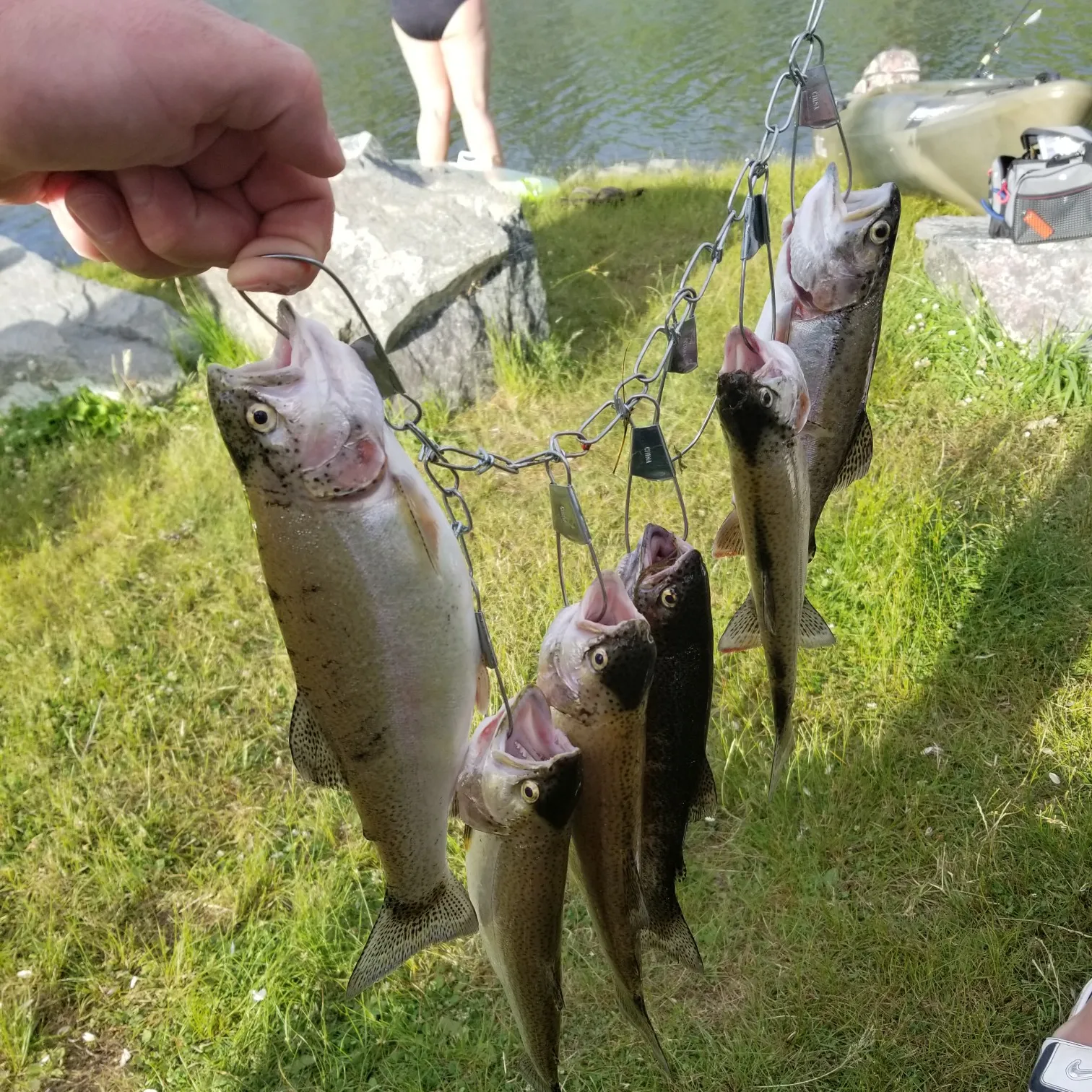 recently logged catches