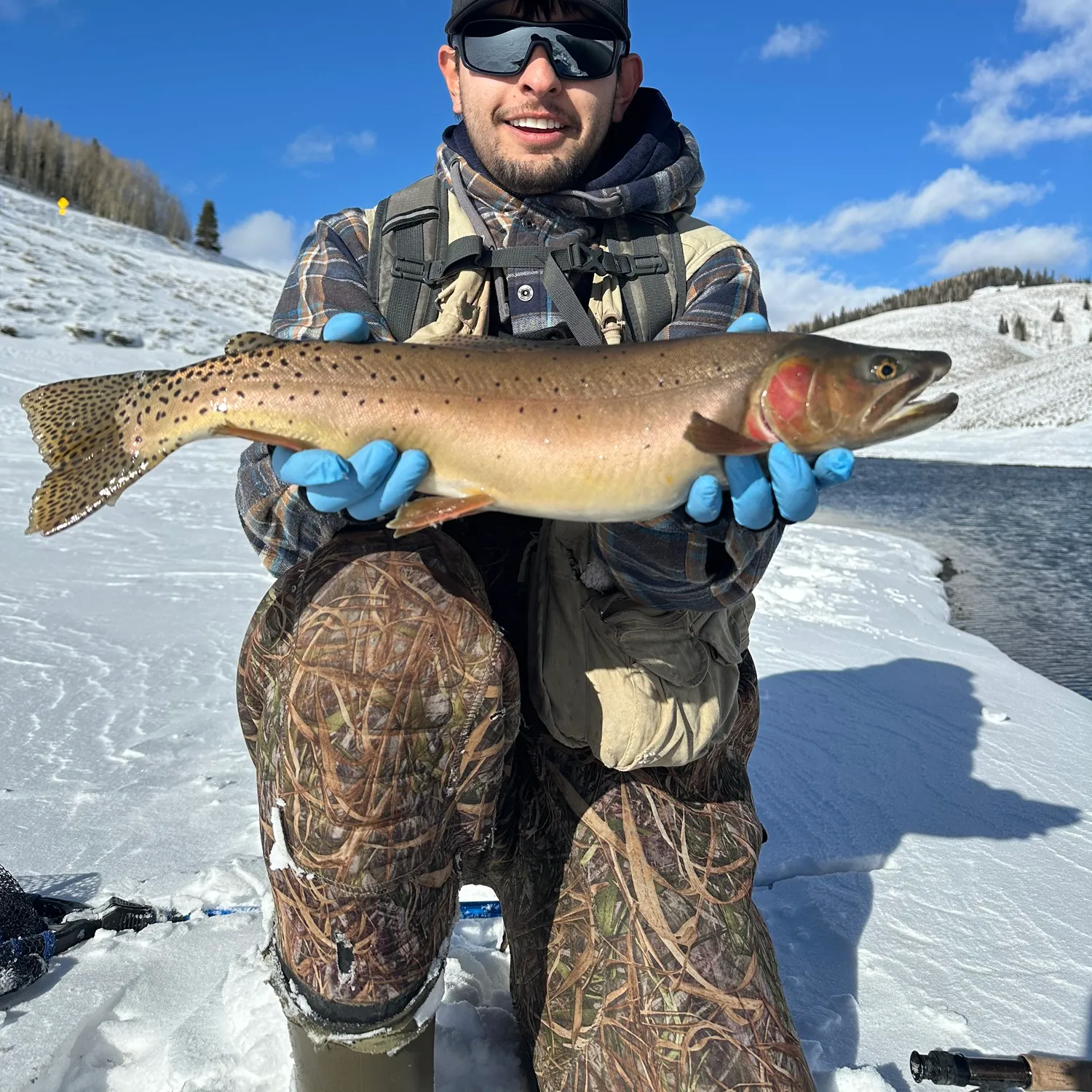 The most popular recent Yellowstone cutthroat trout catch on Fishbrain