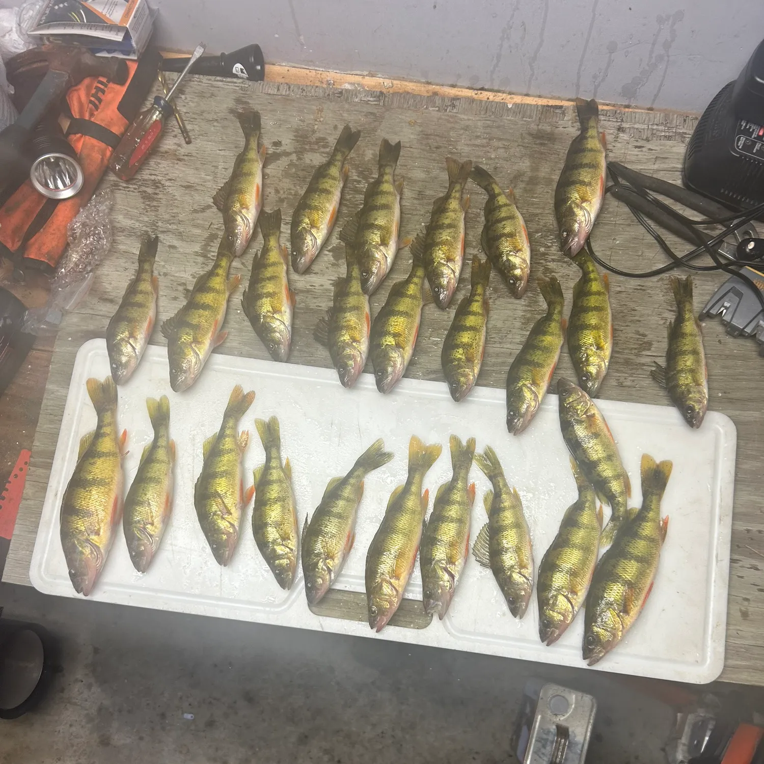 recently logged catches