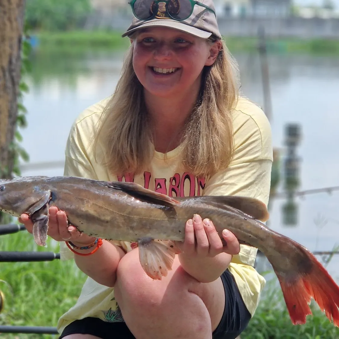 The most popular recent Asian redtail catfish catch on Fishbrain