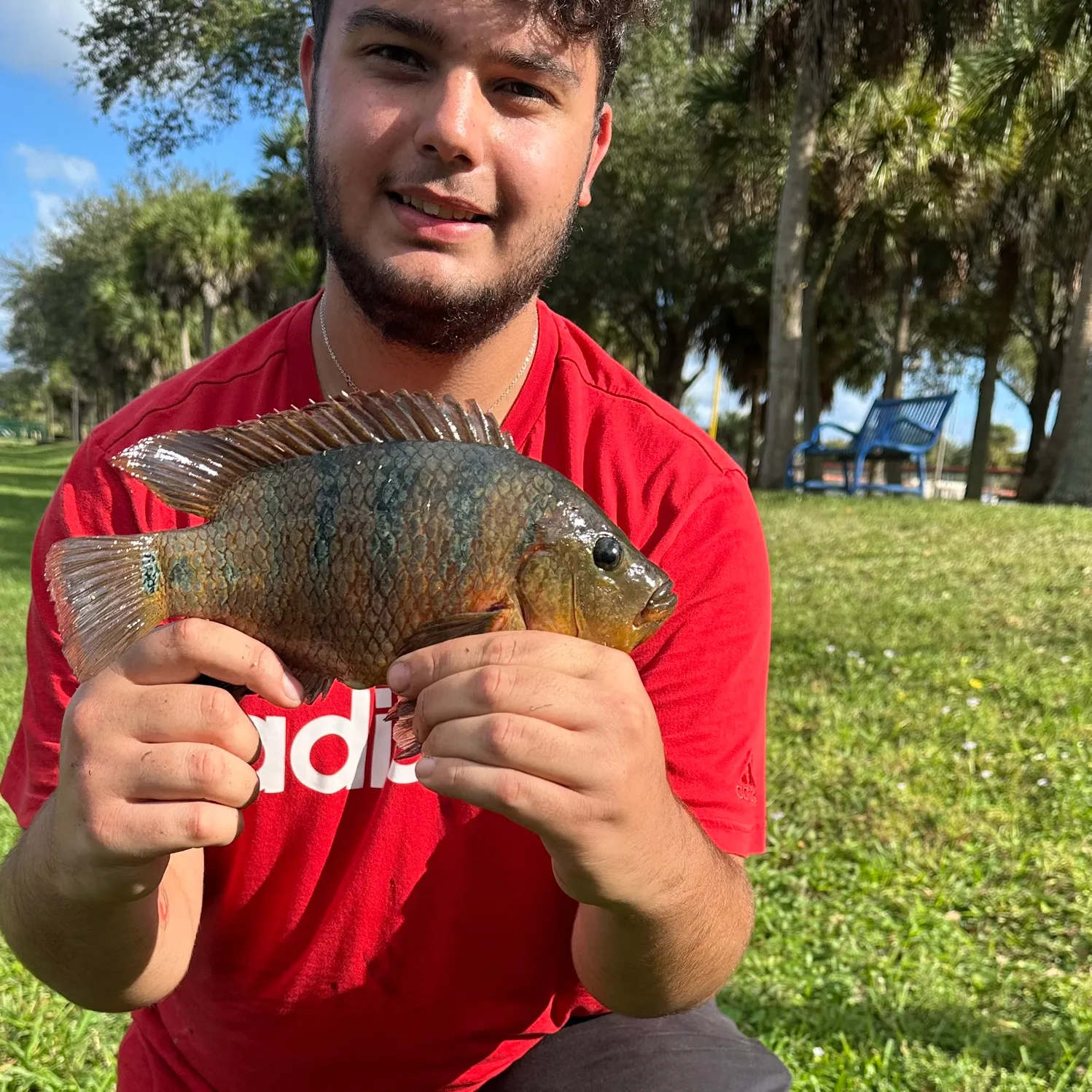 The most popular recent Redbelly tilapia catch on Fishbrain