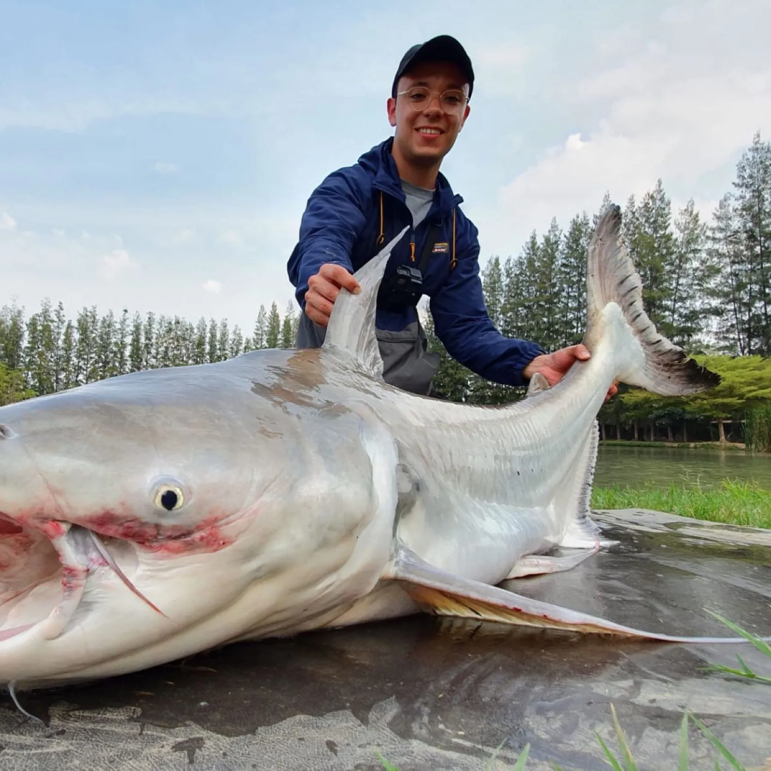 The most popular recent Mekong giant catfish catch on Fishbrain