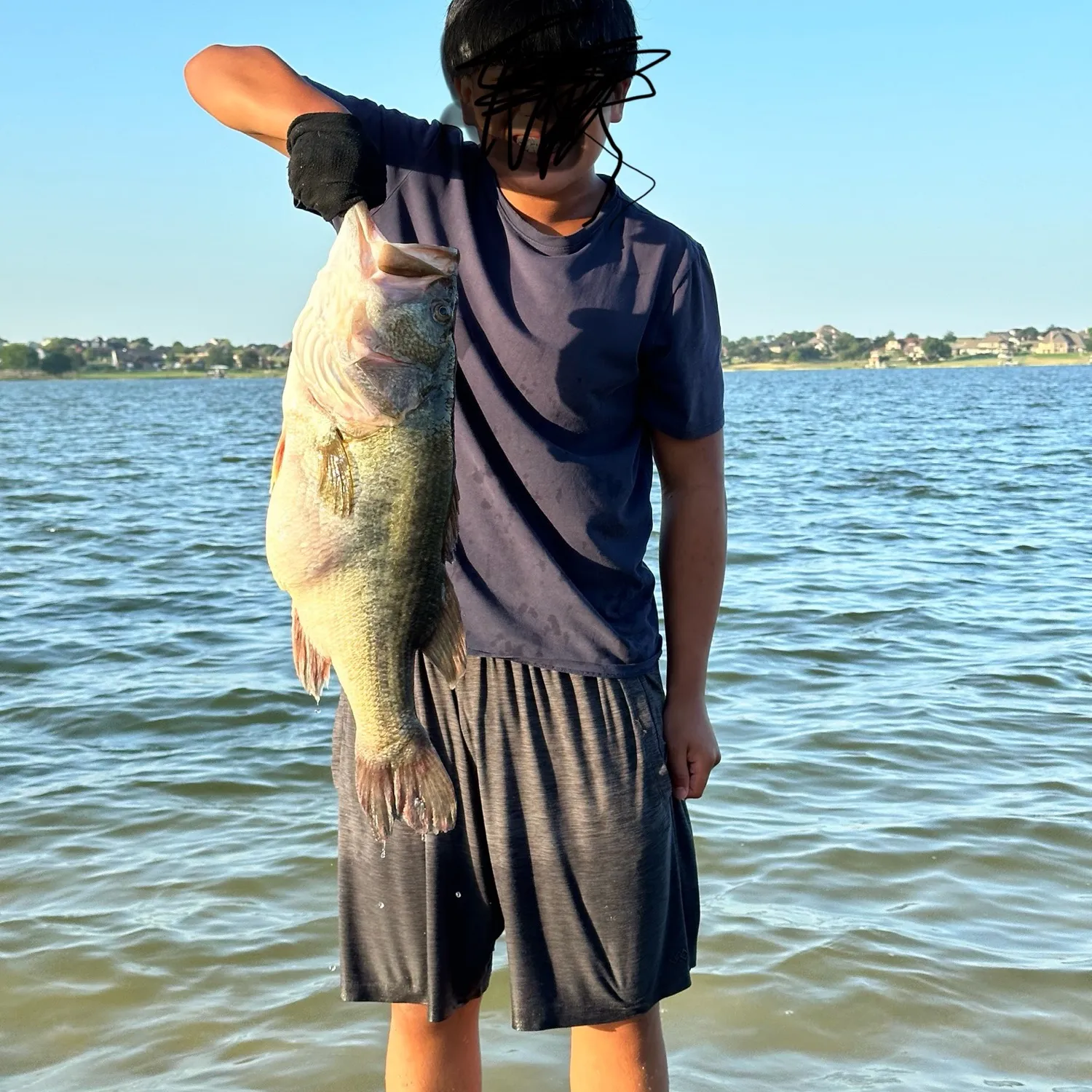 ᐅ Lake Waxahachie fishing reports🎣• Waxahachie, TX (United States) fishing