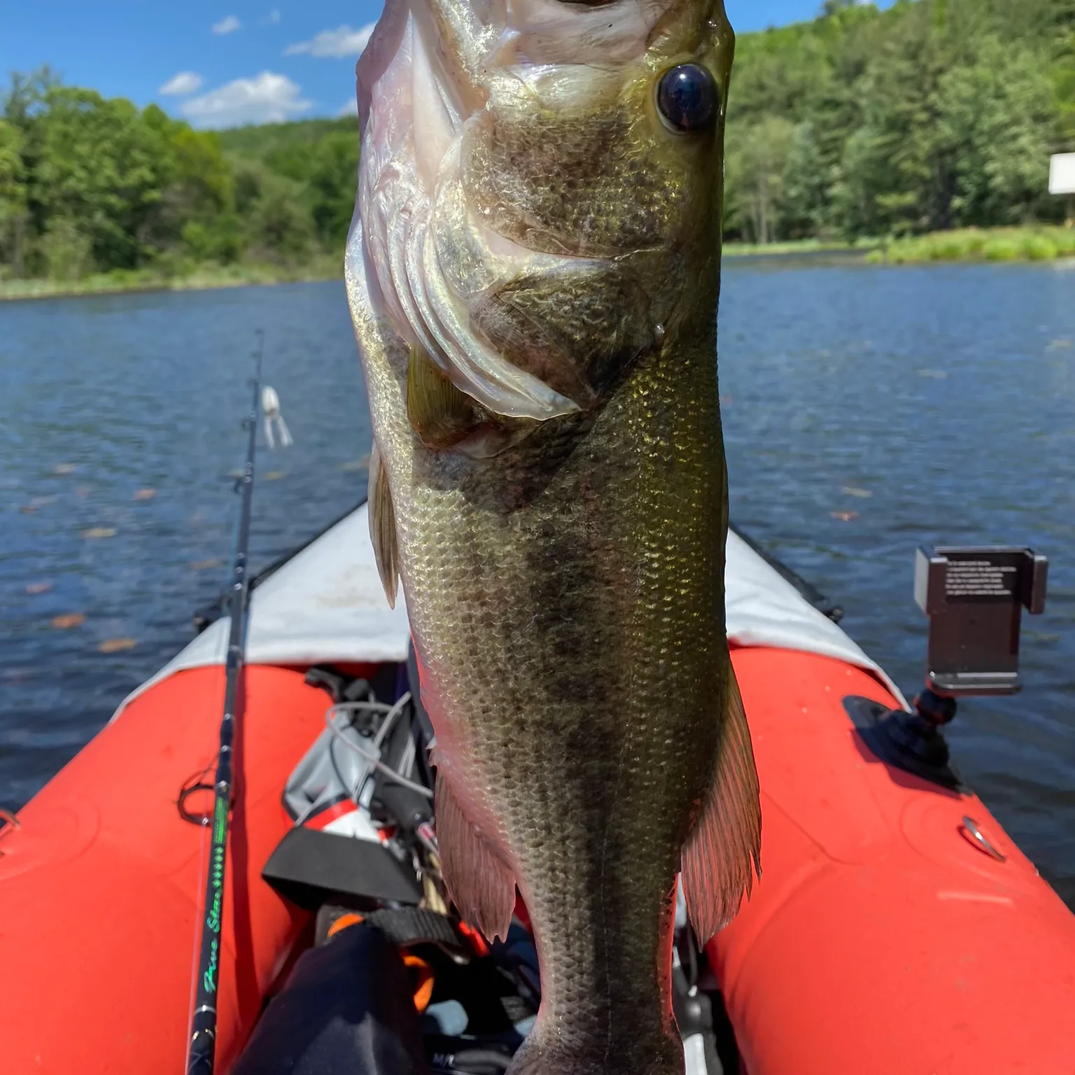 ᐅ Cape Cod Canal fishing reports🎣• Bourne, MA (United States) fishing