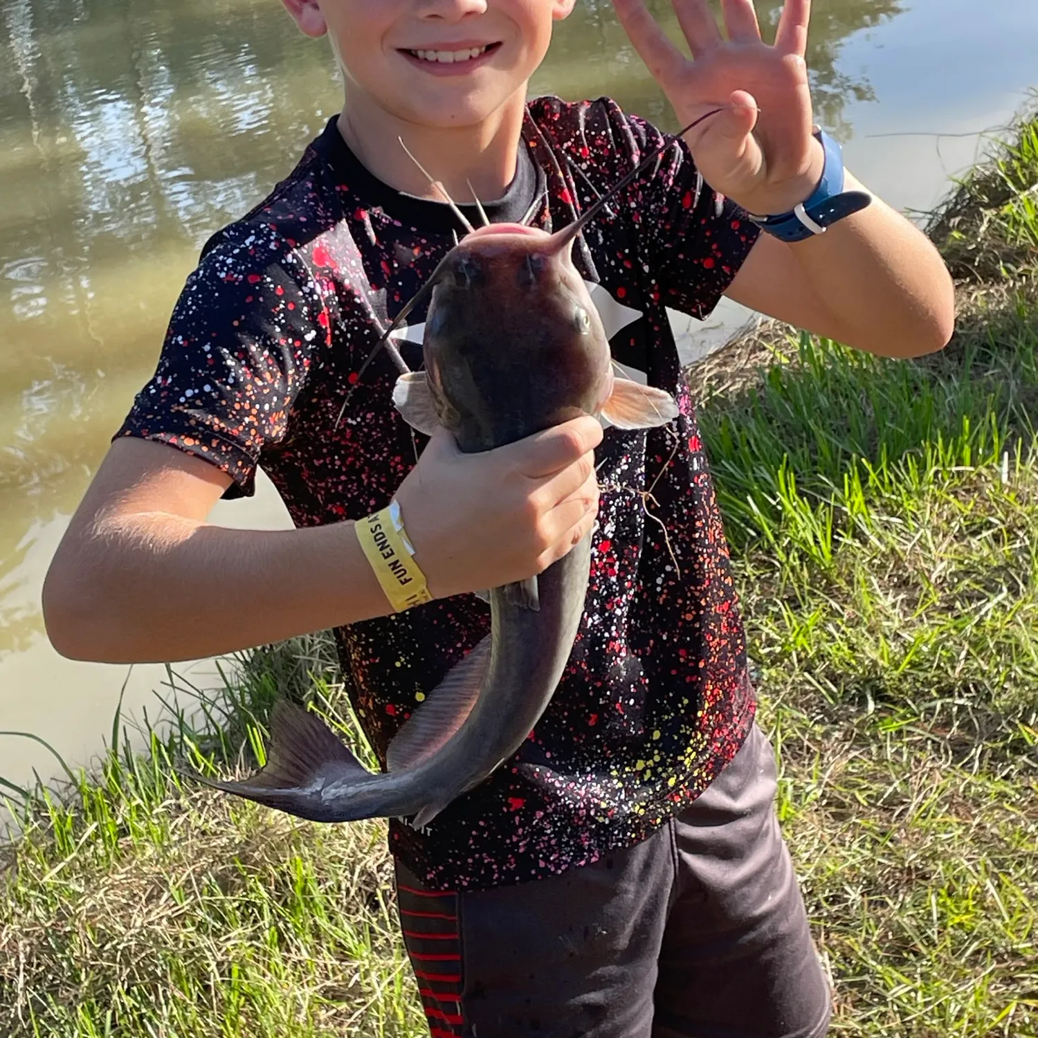 The most popular recent White bullhead catch on Fishbrain