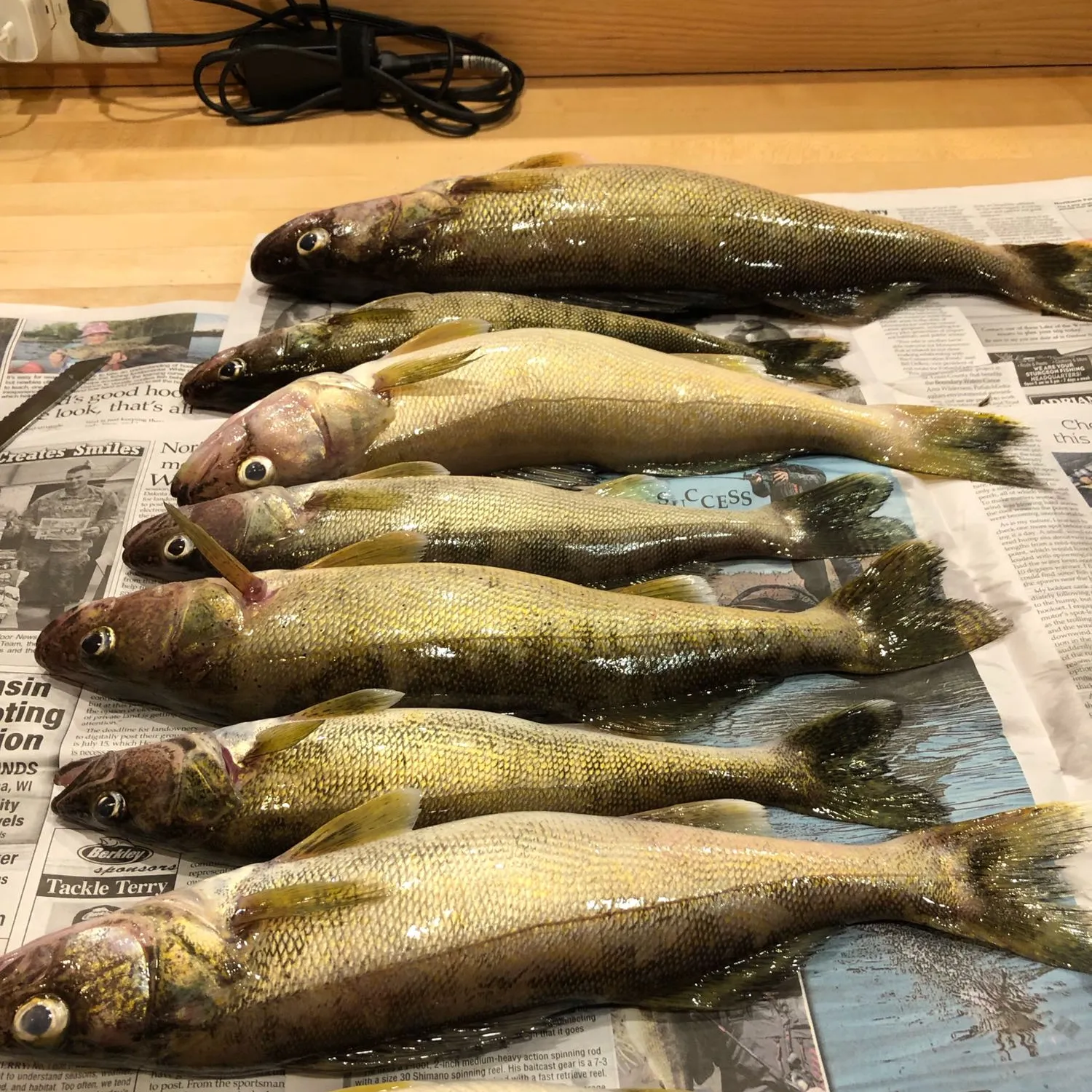 recently logged catches