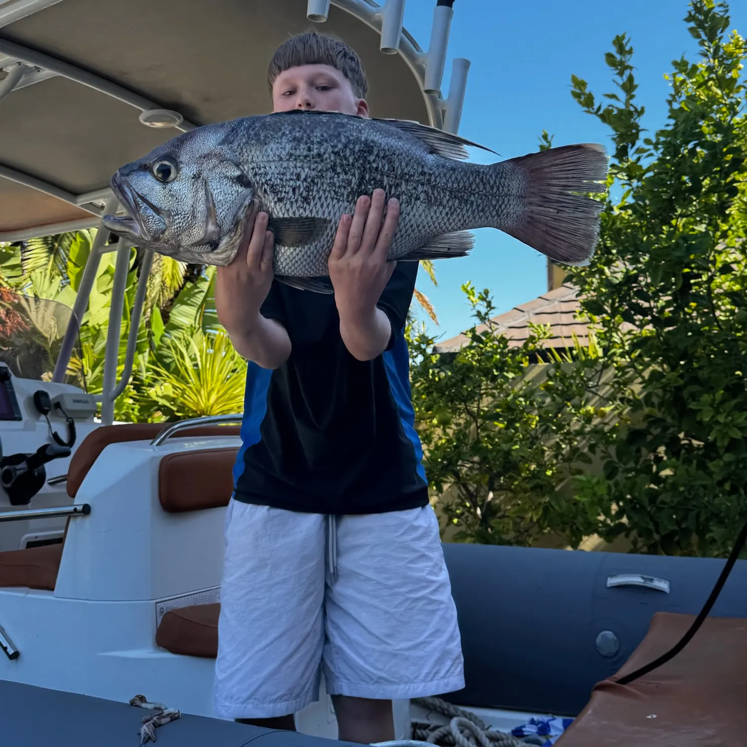 The most popular recent Westralian jewfish catch on Fishbrain