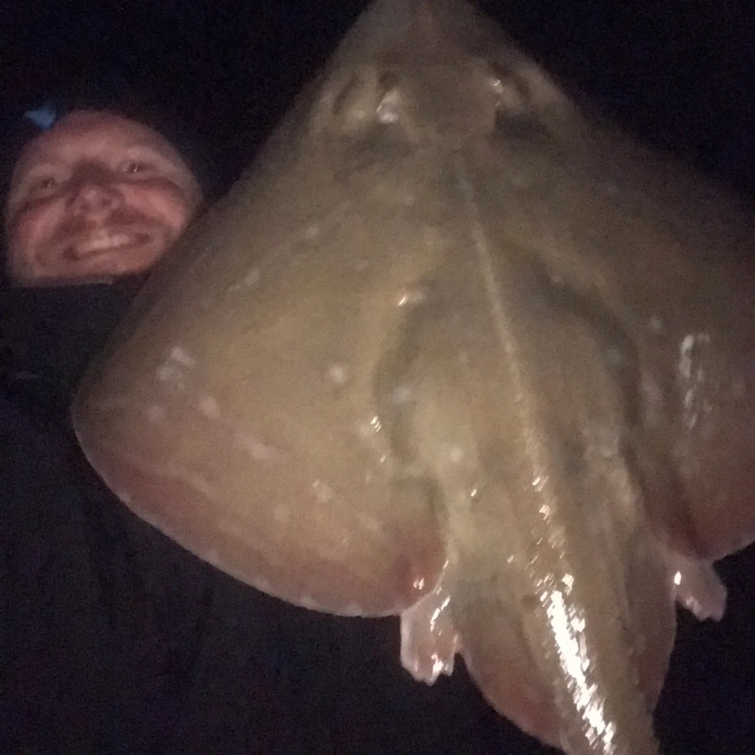 The most popular recent Blonde ray catch on Fishbrain