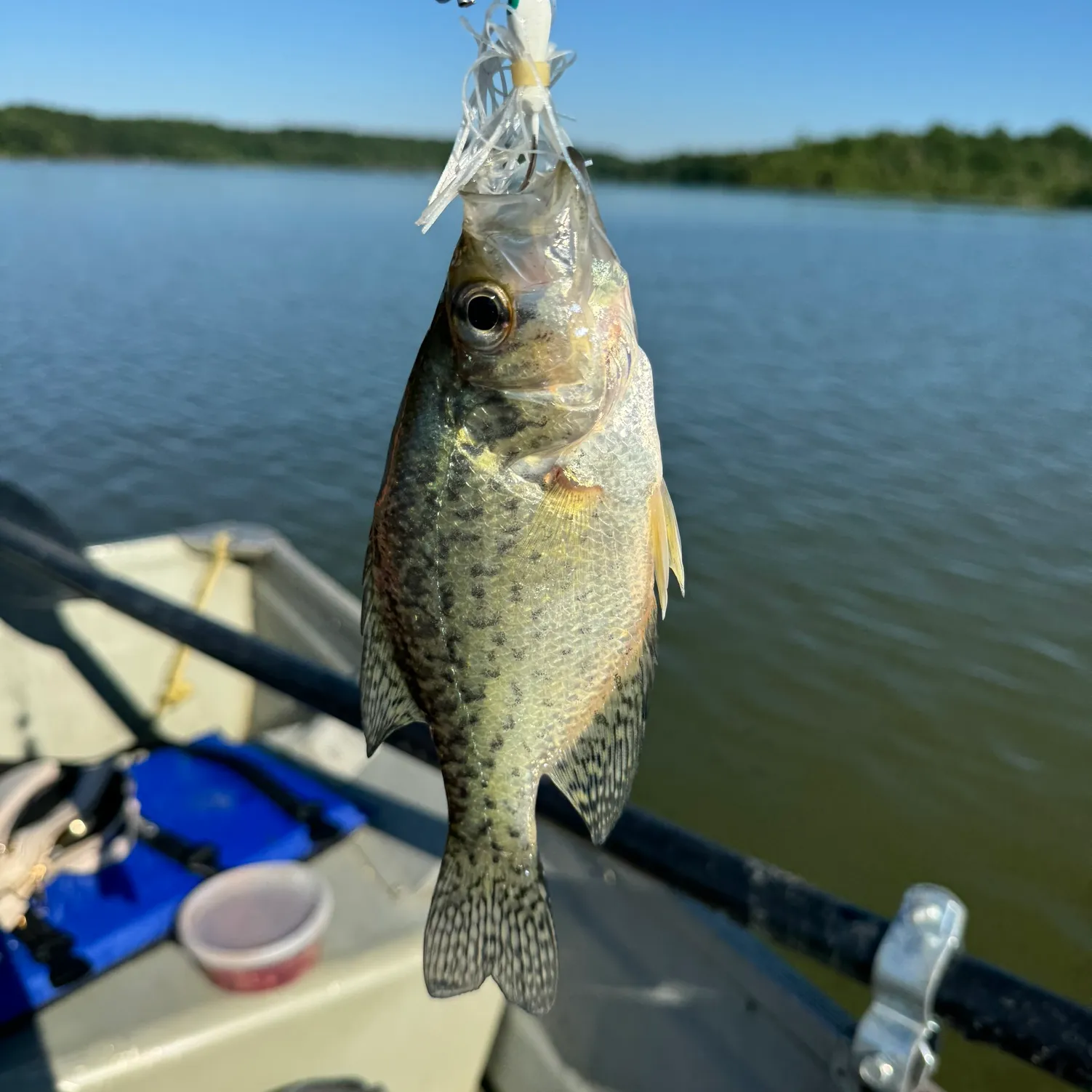 ᐅ Kiser Lake fishing reports🎣• Urbana, OH (United States) fishing