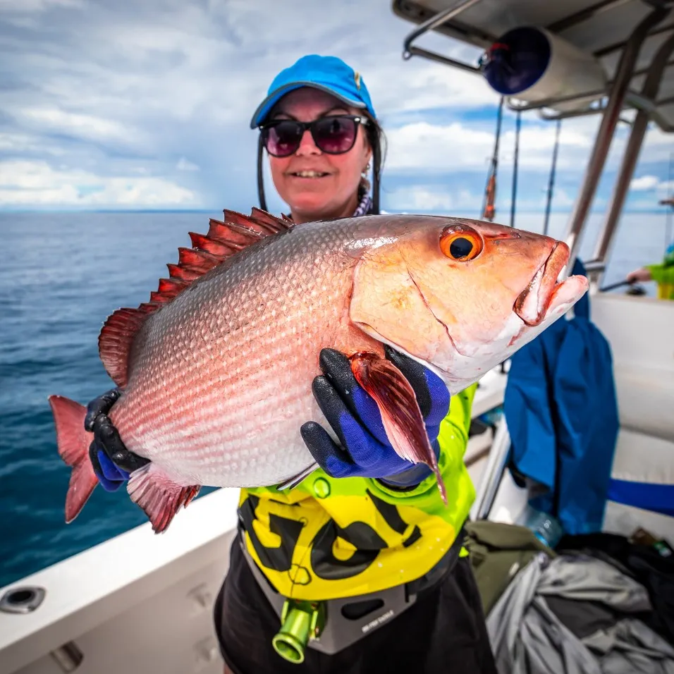 The most popular recent Two-spot red snapper catch on Fishbrain